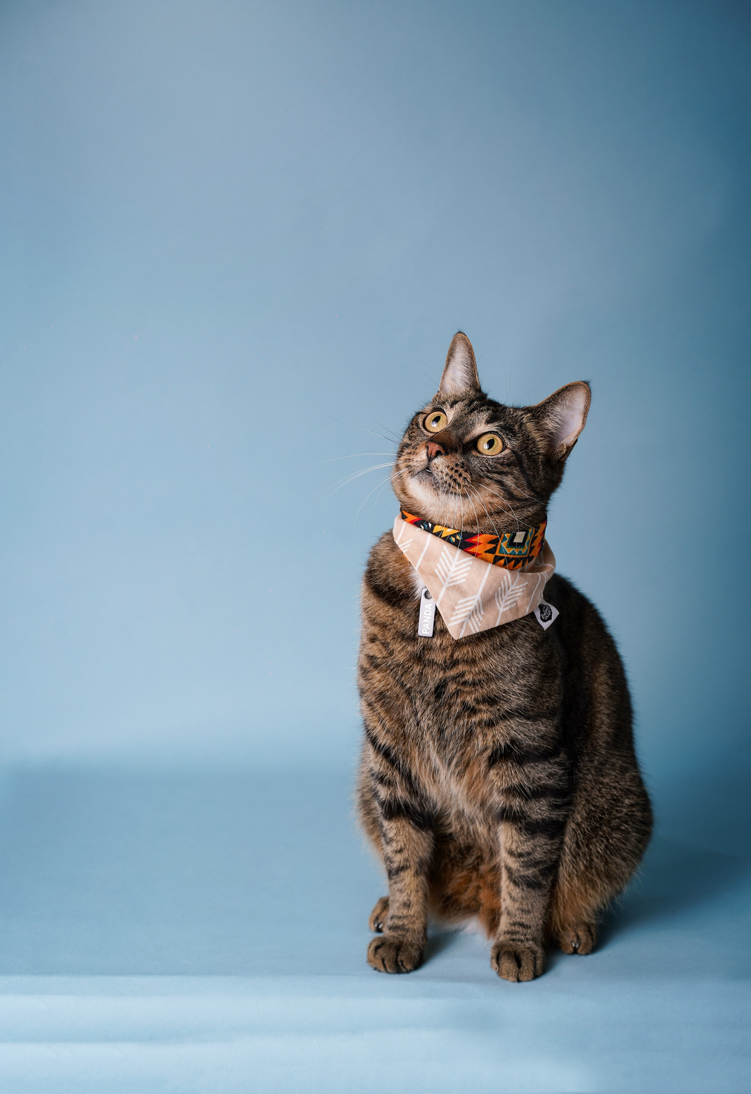 Маффин и Сэм. Фотограф-анималист в Санкт-Петербурге Яна Мартынова