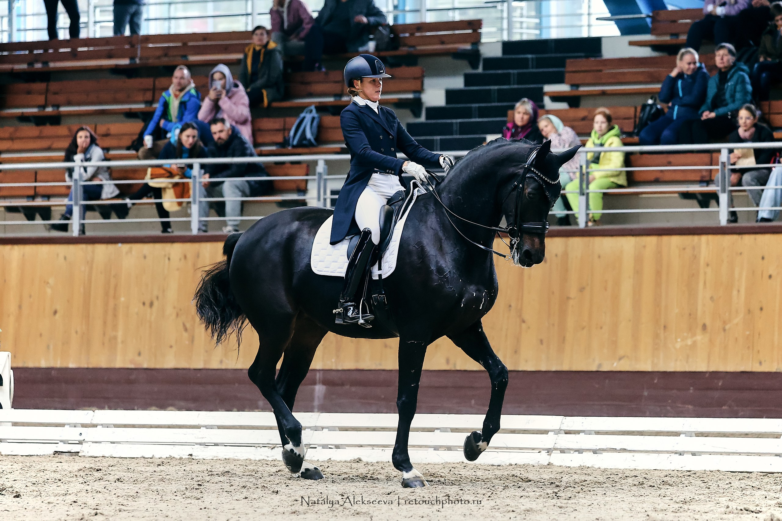 Звезды Евразии по выездке, Минск | 10'2023. Репортажный фотограф и ретушер в Москве Наталья Алексеева