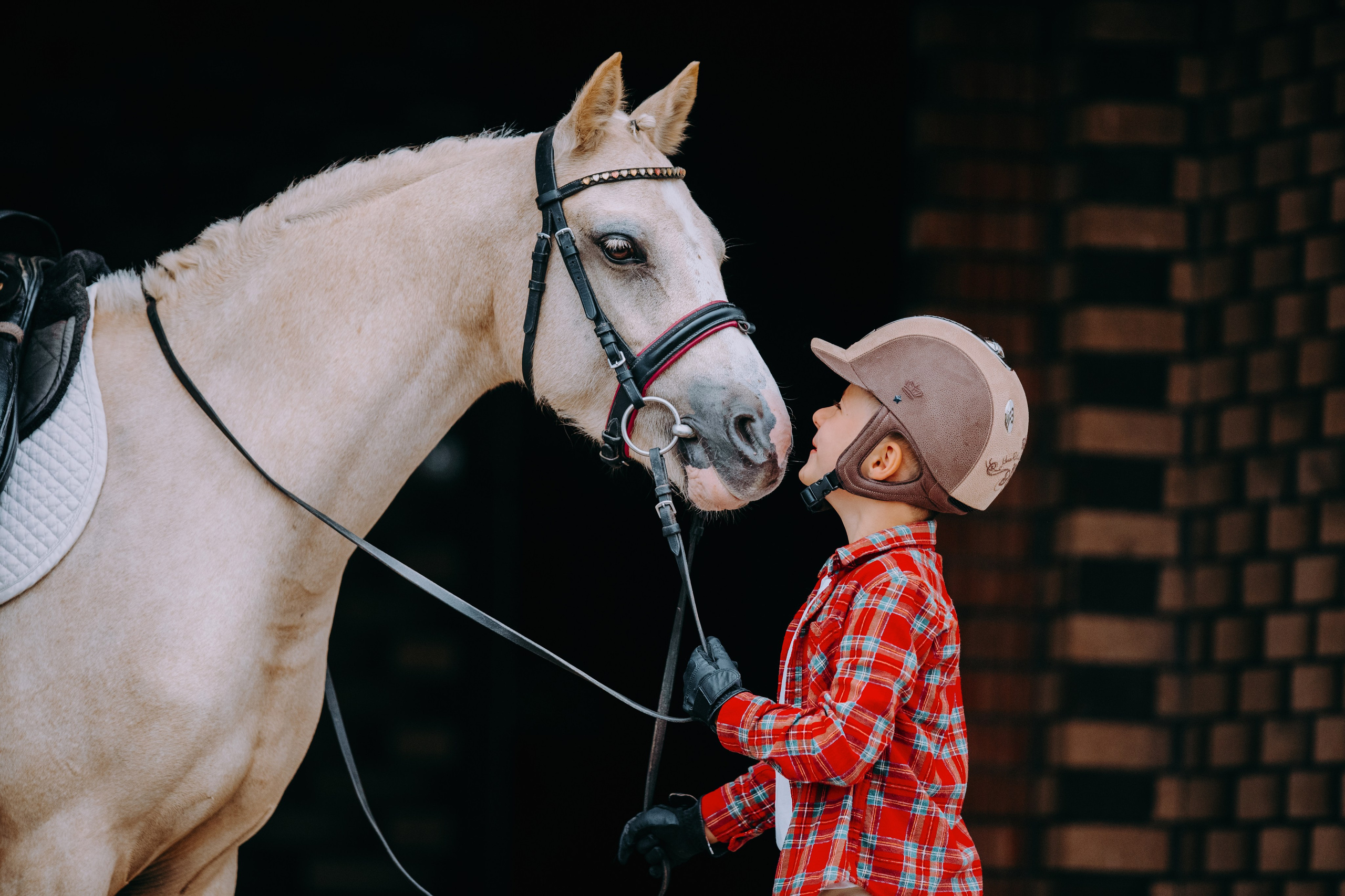 Петя и Аришка. Фотограф-анималист Ксендзова Кристина