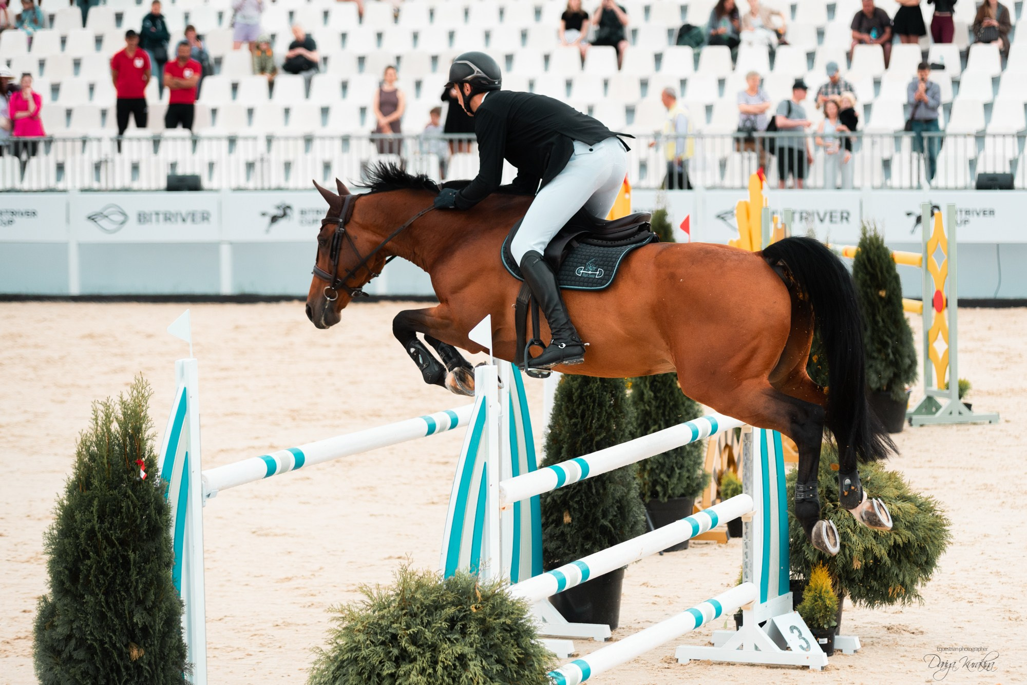 BITRIVER CUP 2023. Конный фотограф Куракина Дарья • Фотосессии с лошадьми