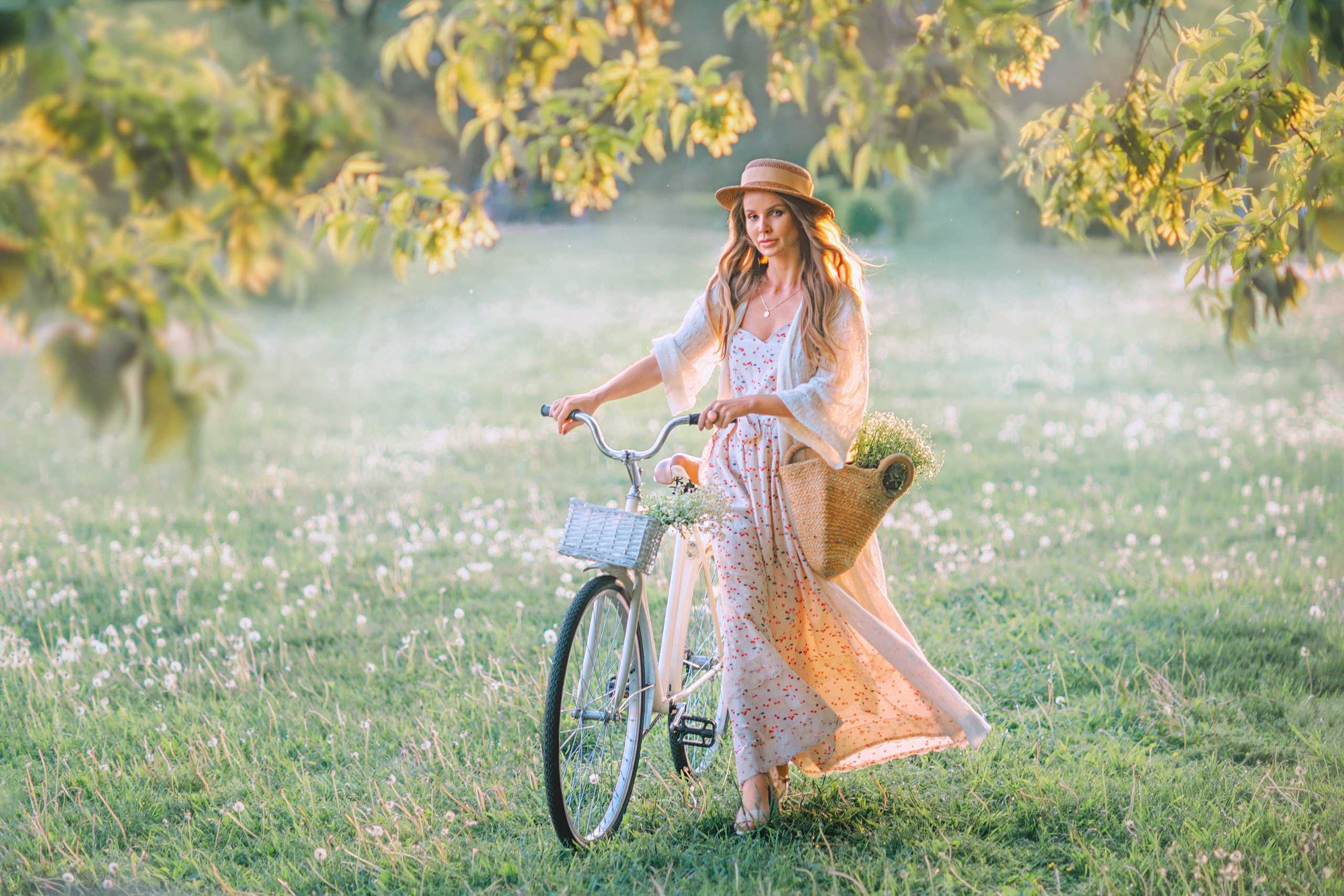 Ознакомительная страница галерея с фотографиями Федора Серебрякова