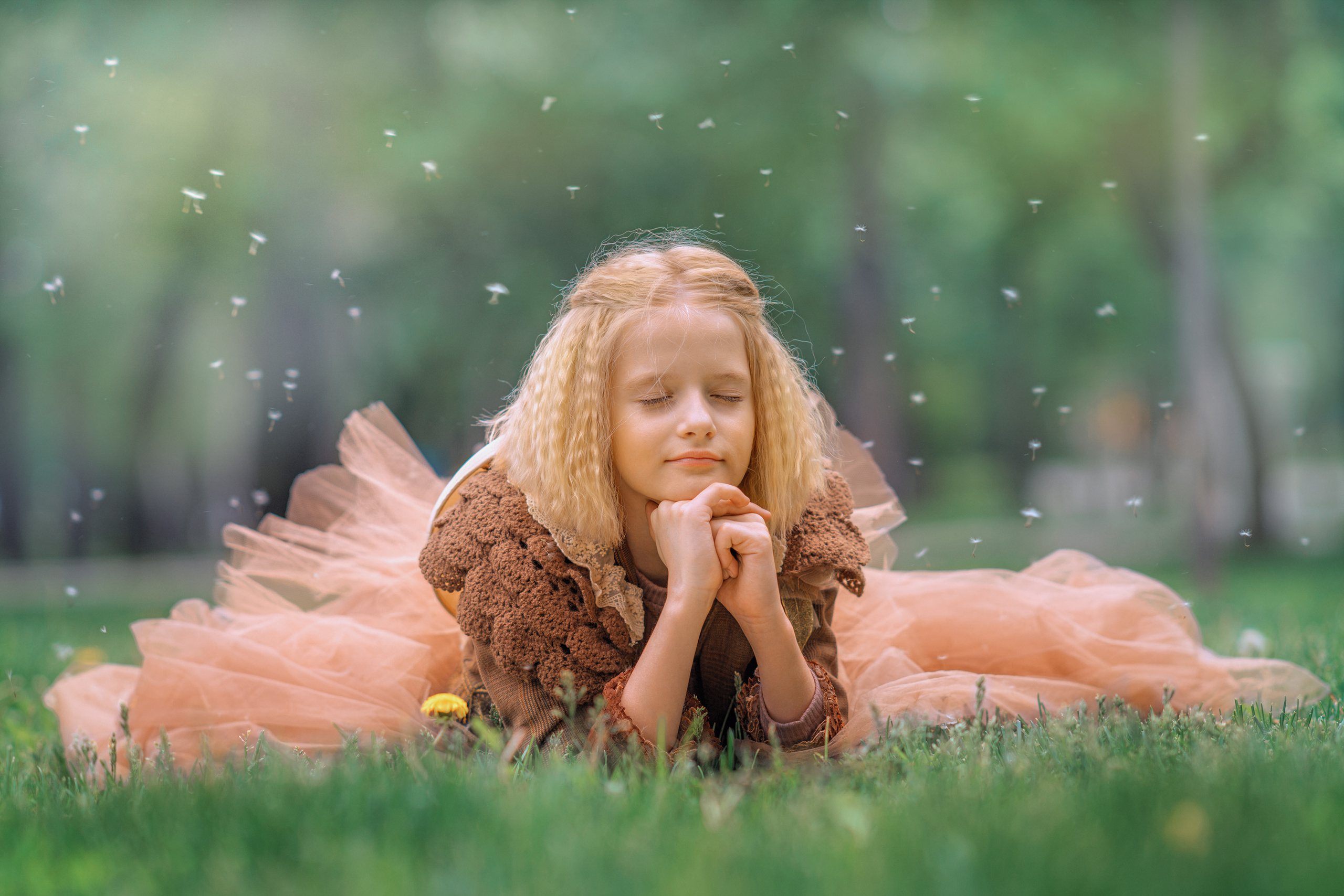 Ознакомительная страница галерея с фотографиями Федора Серебрякова