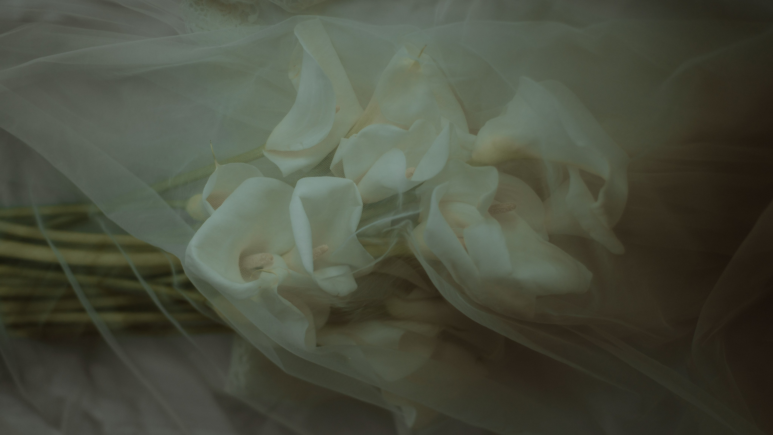 Свадебная фотосессия Анапа. Фотограф и Видеограф Анапа, Новороссийск, Краснодар. Алина и Женя