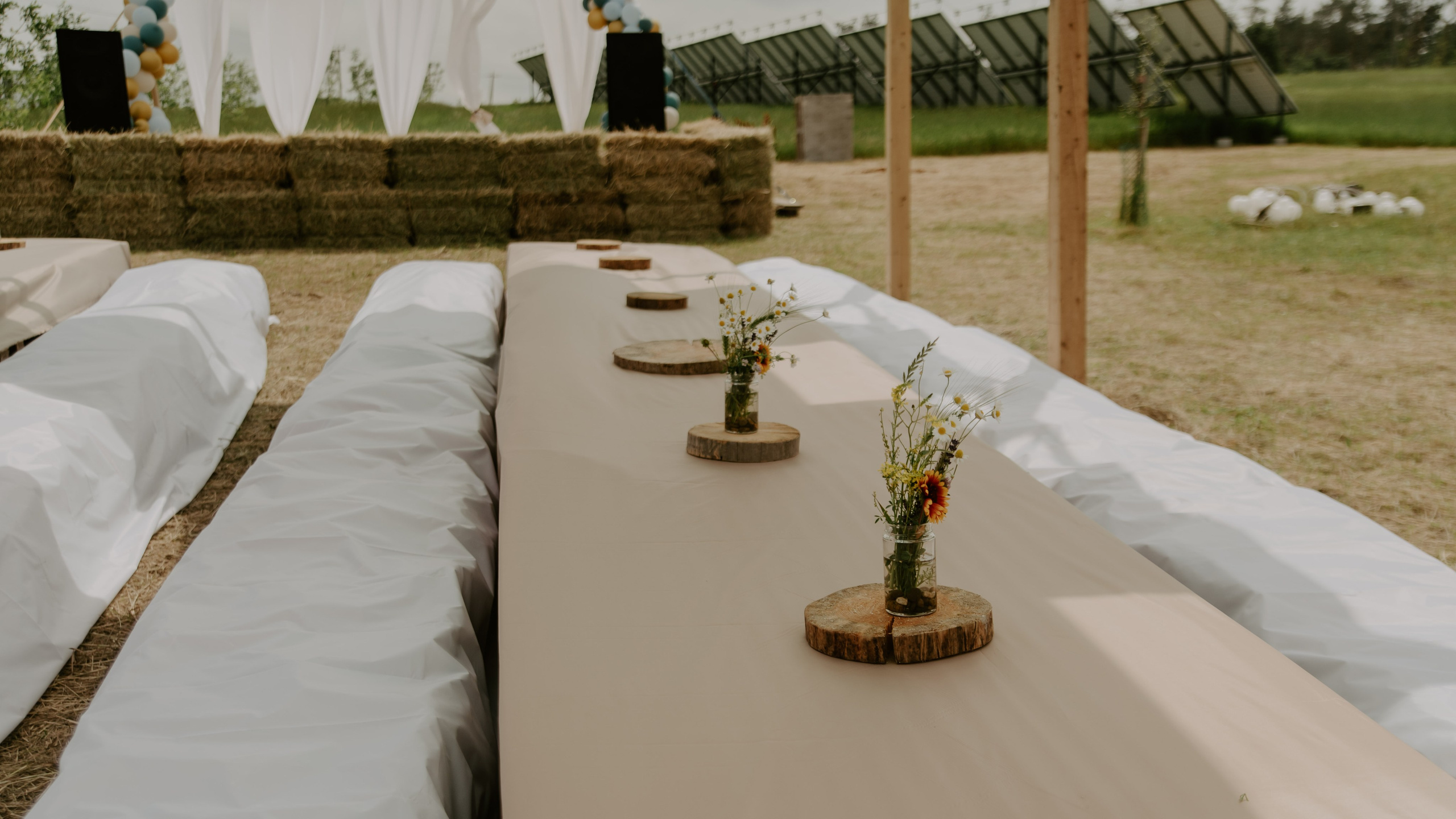 Репортаж праздника «Радосвет 8 лет». Фотограф и Видеограф Анапа, Новороссийск, Краснодар. Алина и Женя