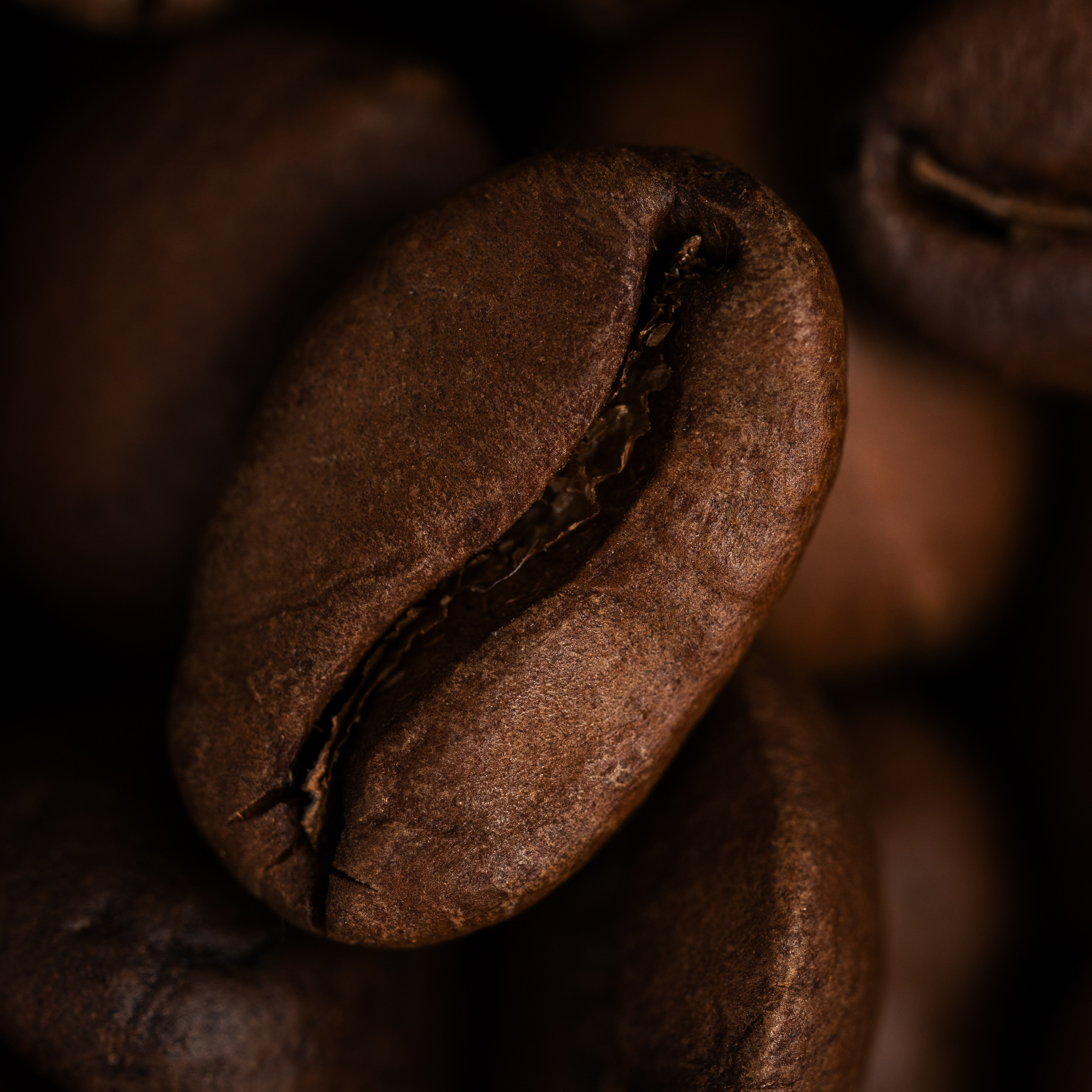 Макросъёмка продуктов. Фуд-фотограф и предметный фотограф в Москве Анна Первова