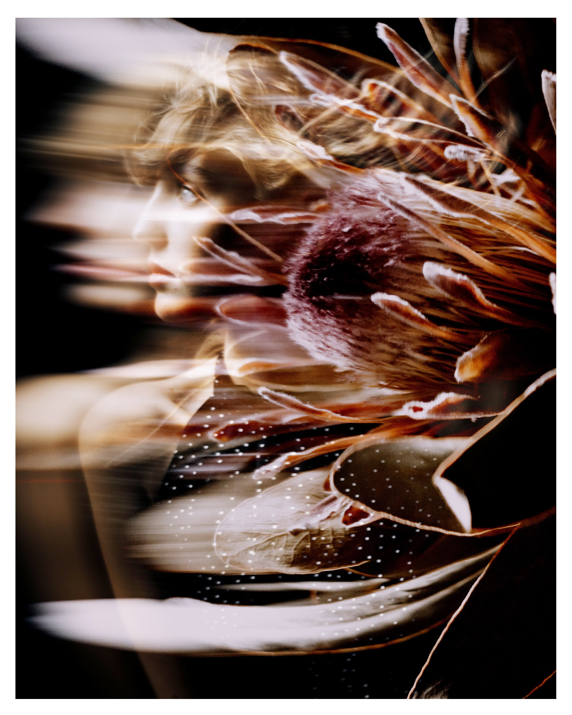 Онлайн мастер-класс «Фотография и УЛИЧНАЯ Философия». Портретный фотограф в Санкт-Петербурге Алексей Корзов