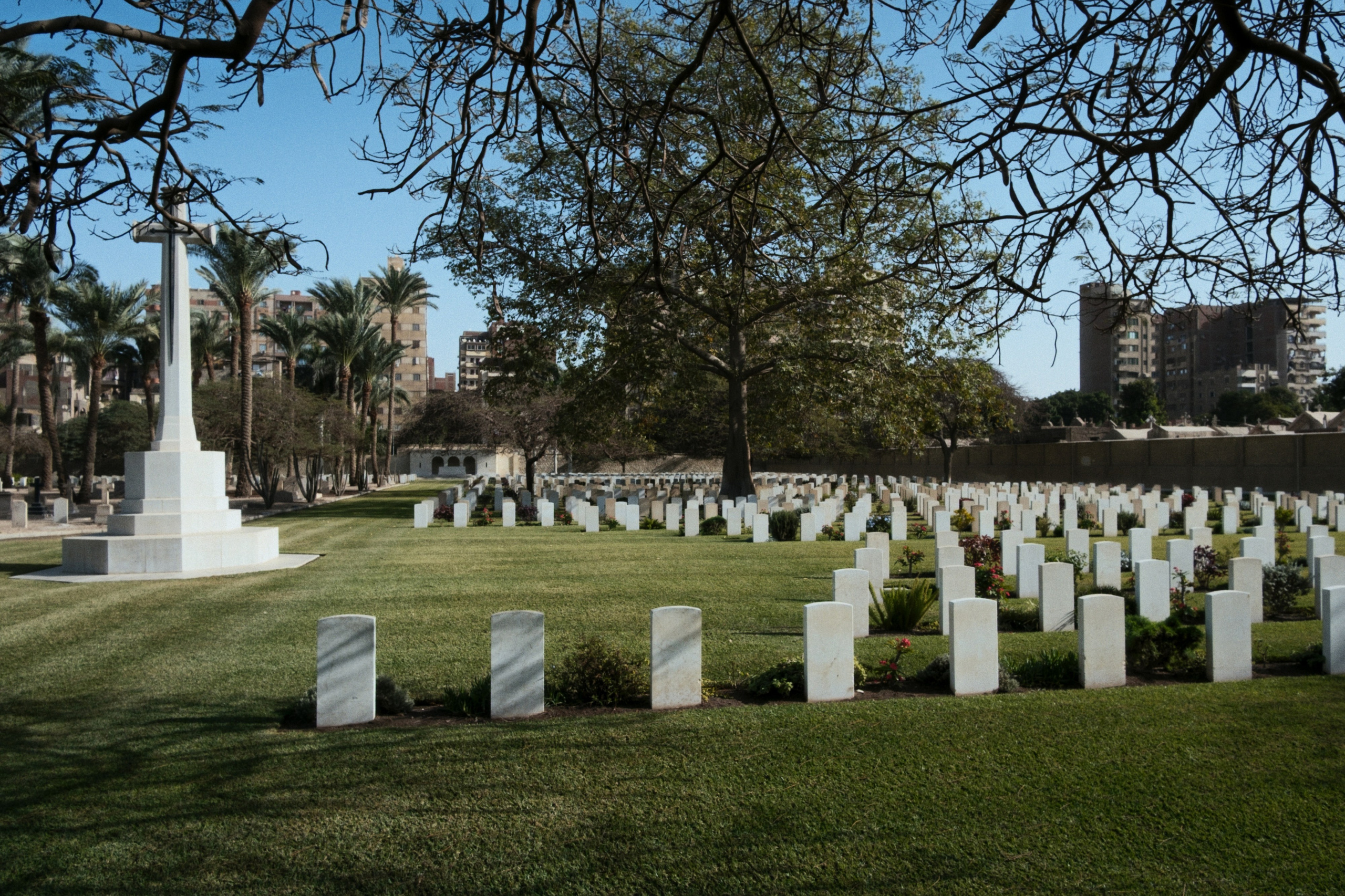 War Memorial Cemetery / Cairo, Egypt AW25. Фотограф Юрин Евгений