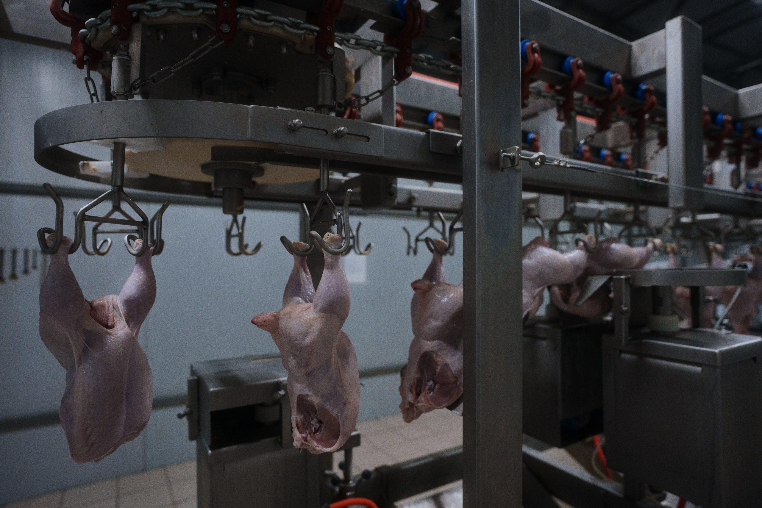 Can you tell a green field from a cold steel rail?. Фотограф Юрин Евгений