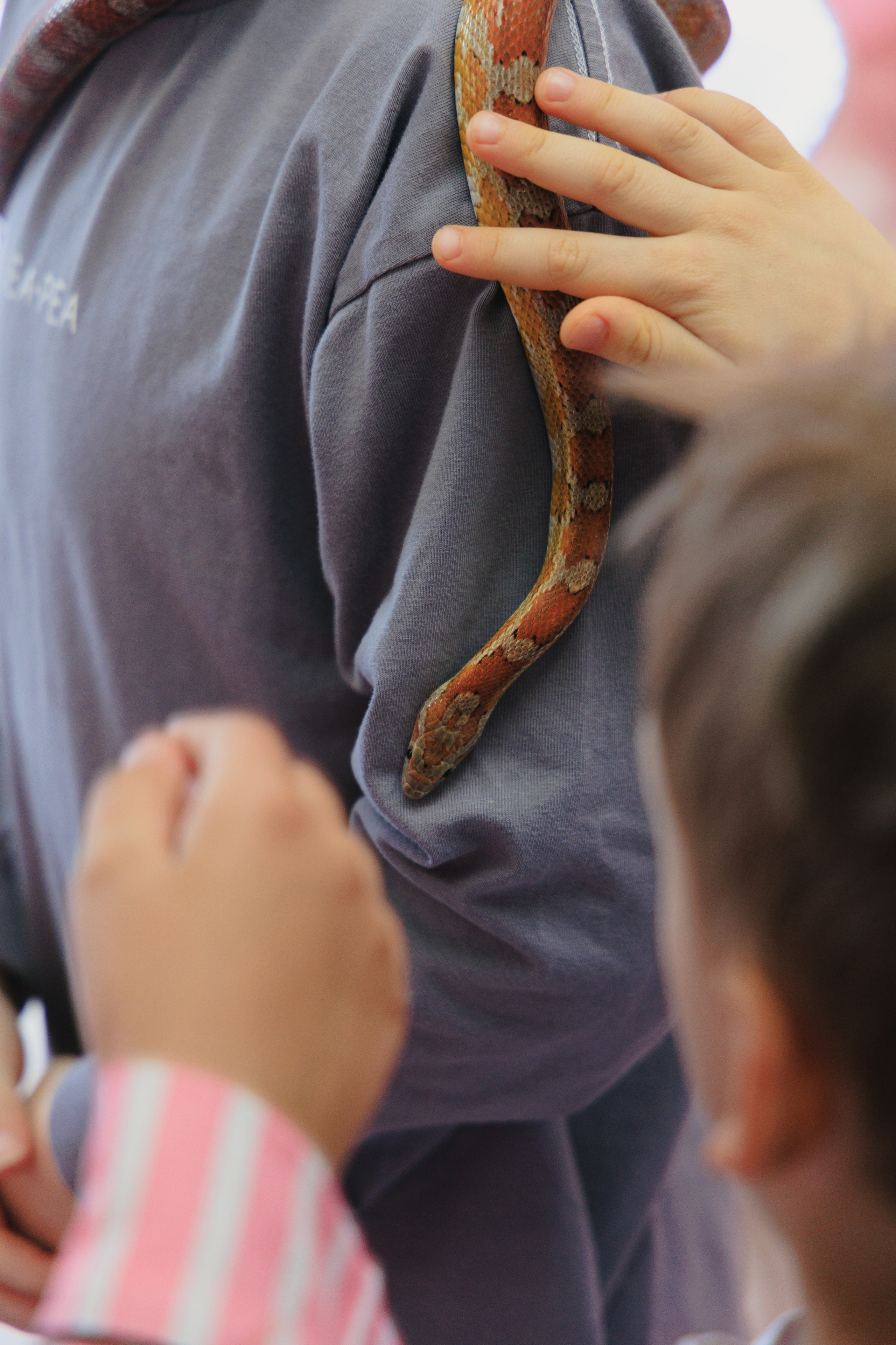 Злате 7 лет | Пуговка. Свадебный фотограф в Минске Владислав Бабич