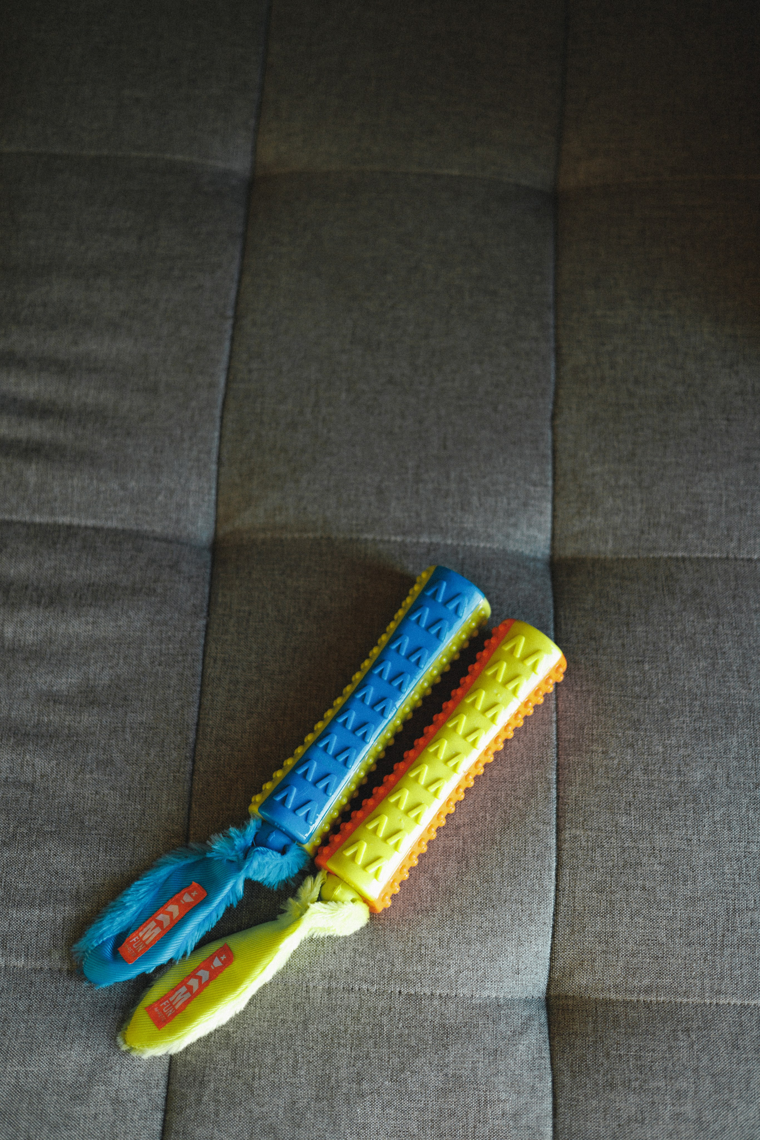 M-Pets. Фотограф анималист Осипчикова Мария