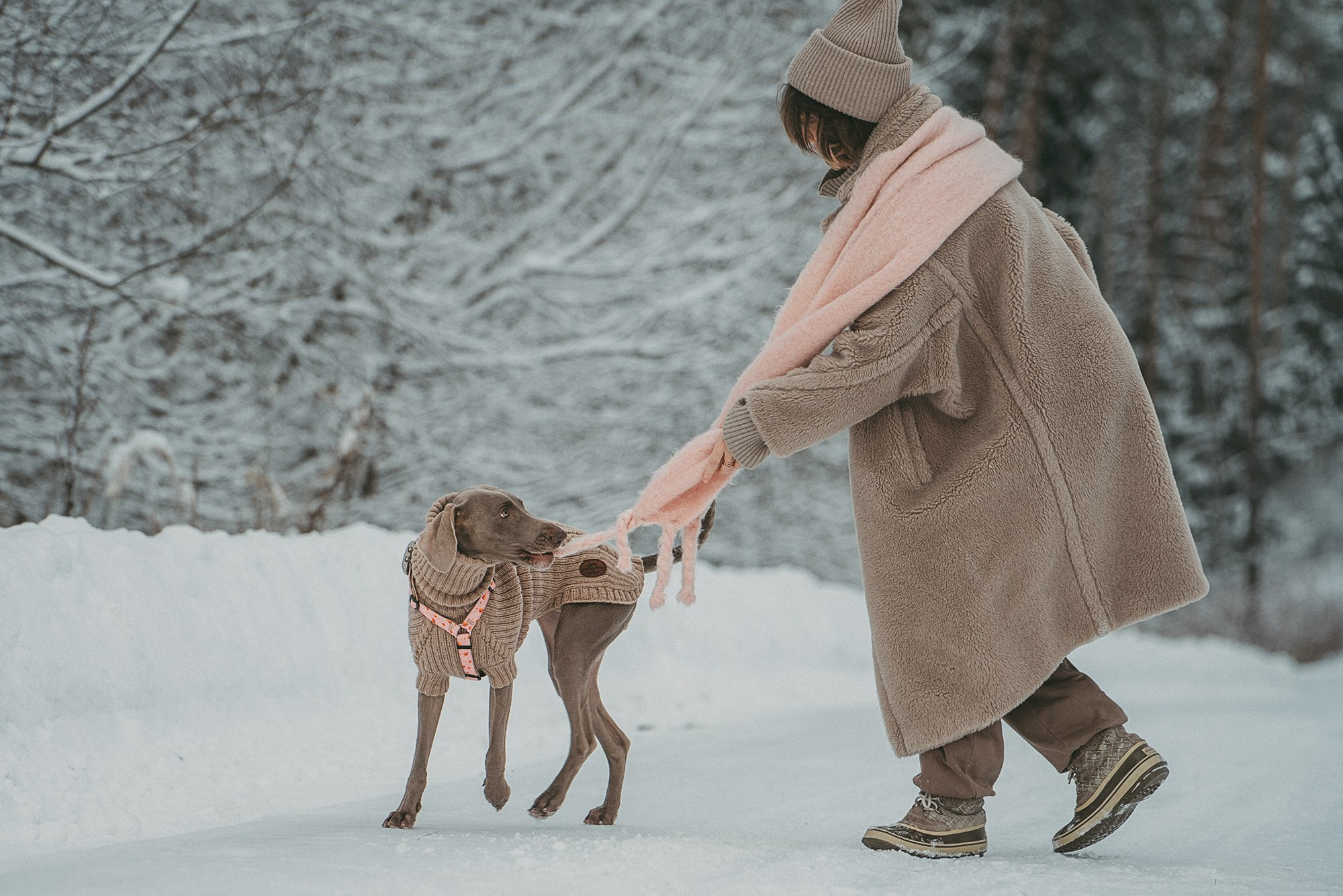 Лена и Фанни. Фотограф анималист в Москве и Санкт-Петербурге Свиридова Анна