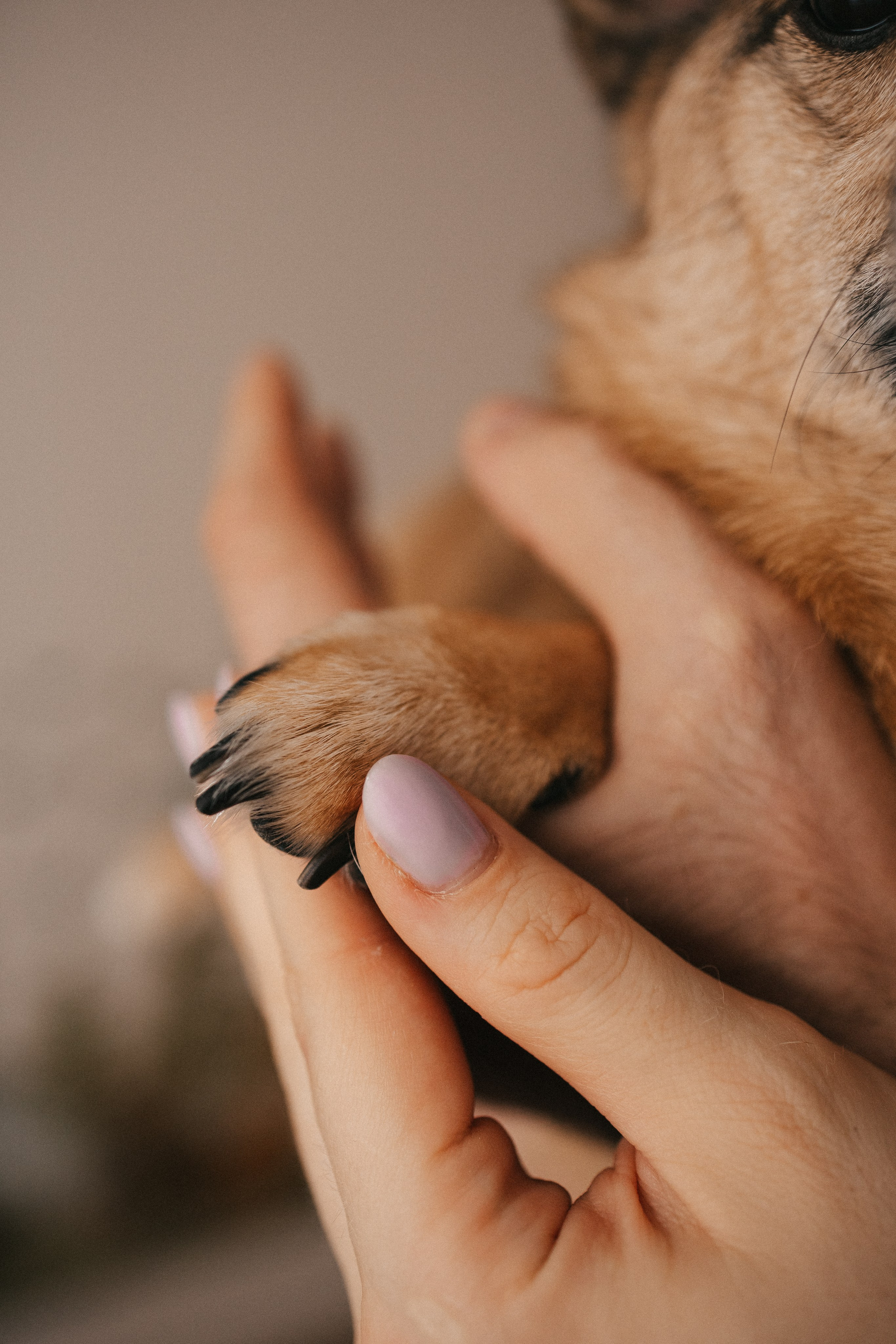 Маша с Лёшей и дочка Саша. Фотограф Нижний Новгород