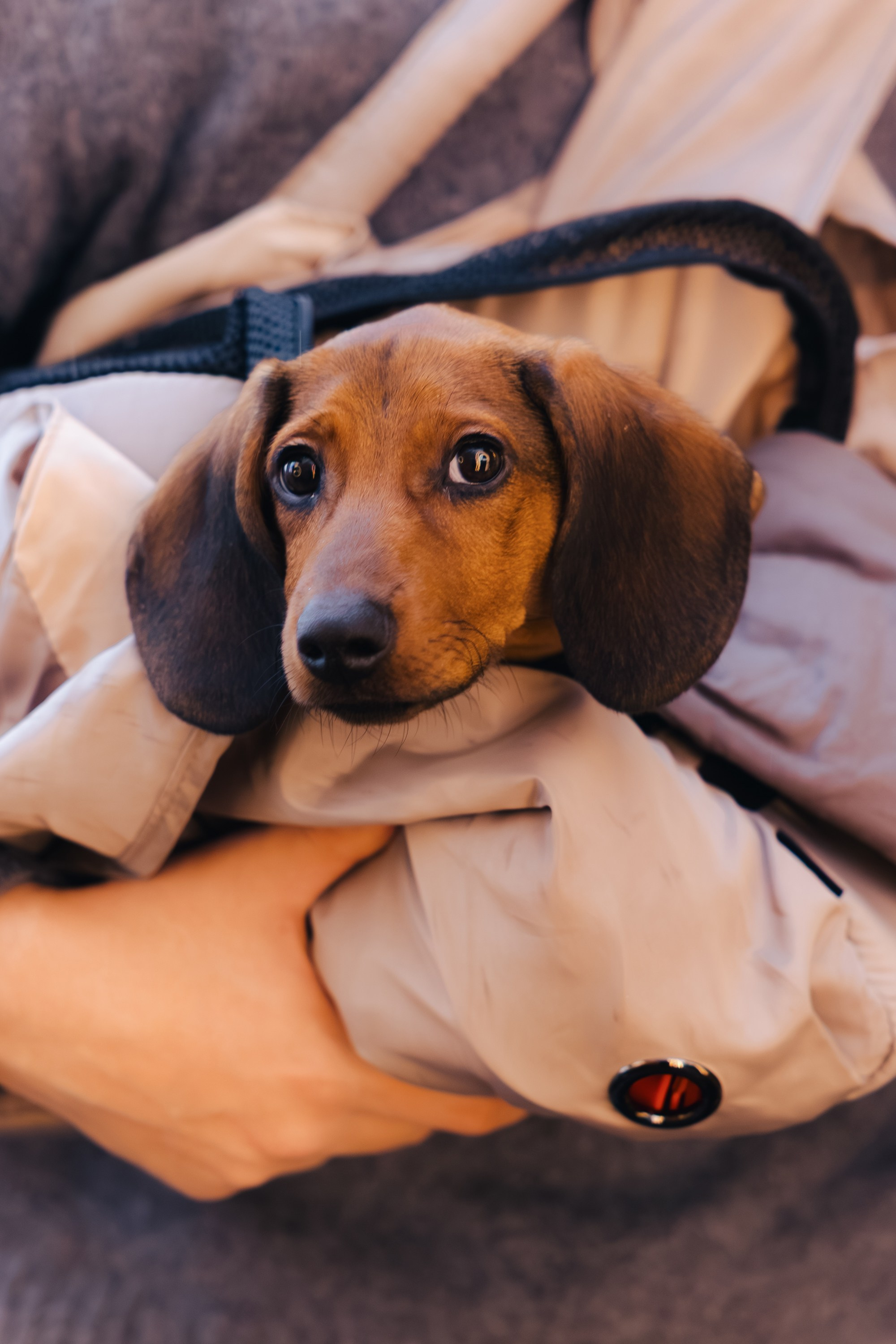 ARNY PRAHT x SimpleWine. Репортажный фотограф в Санкт-Петербурге Александр Паклин