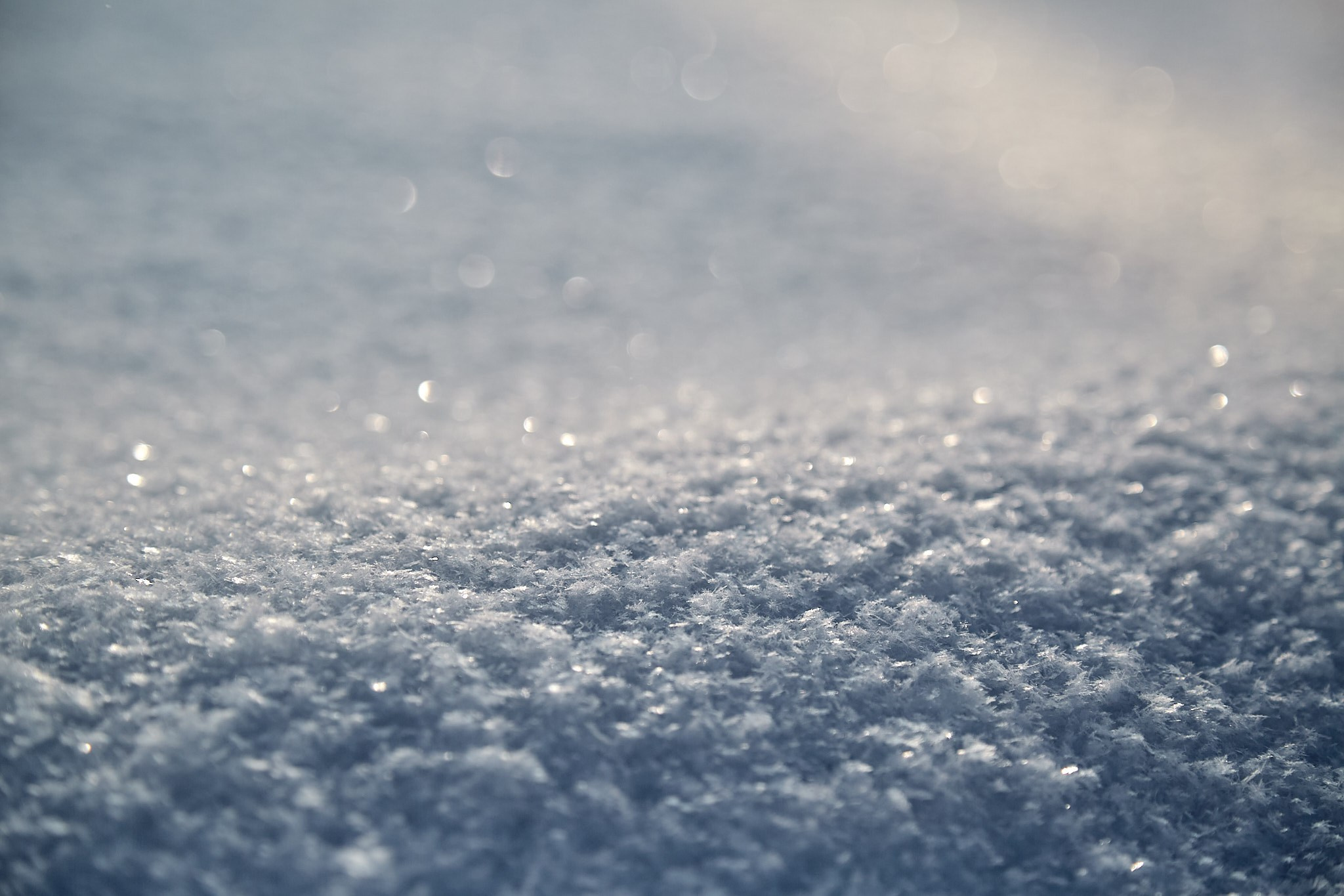 Предновогодняя сказка. Фотограф Омск | Александр Вандеров
