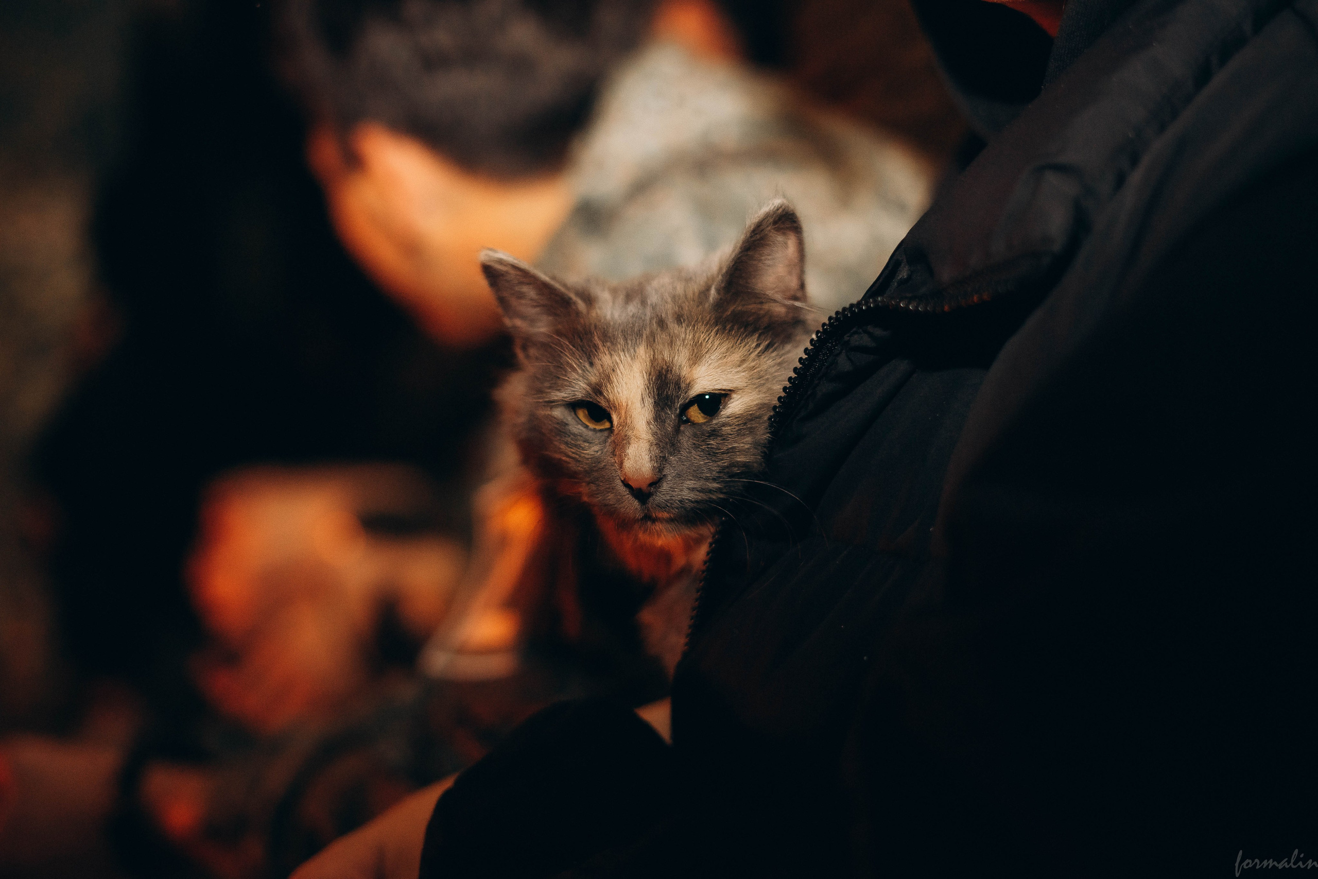 Республиканская военно-патриотическая смена «Рубеж». Алиса Никитцова | Фотограф в Казани