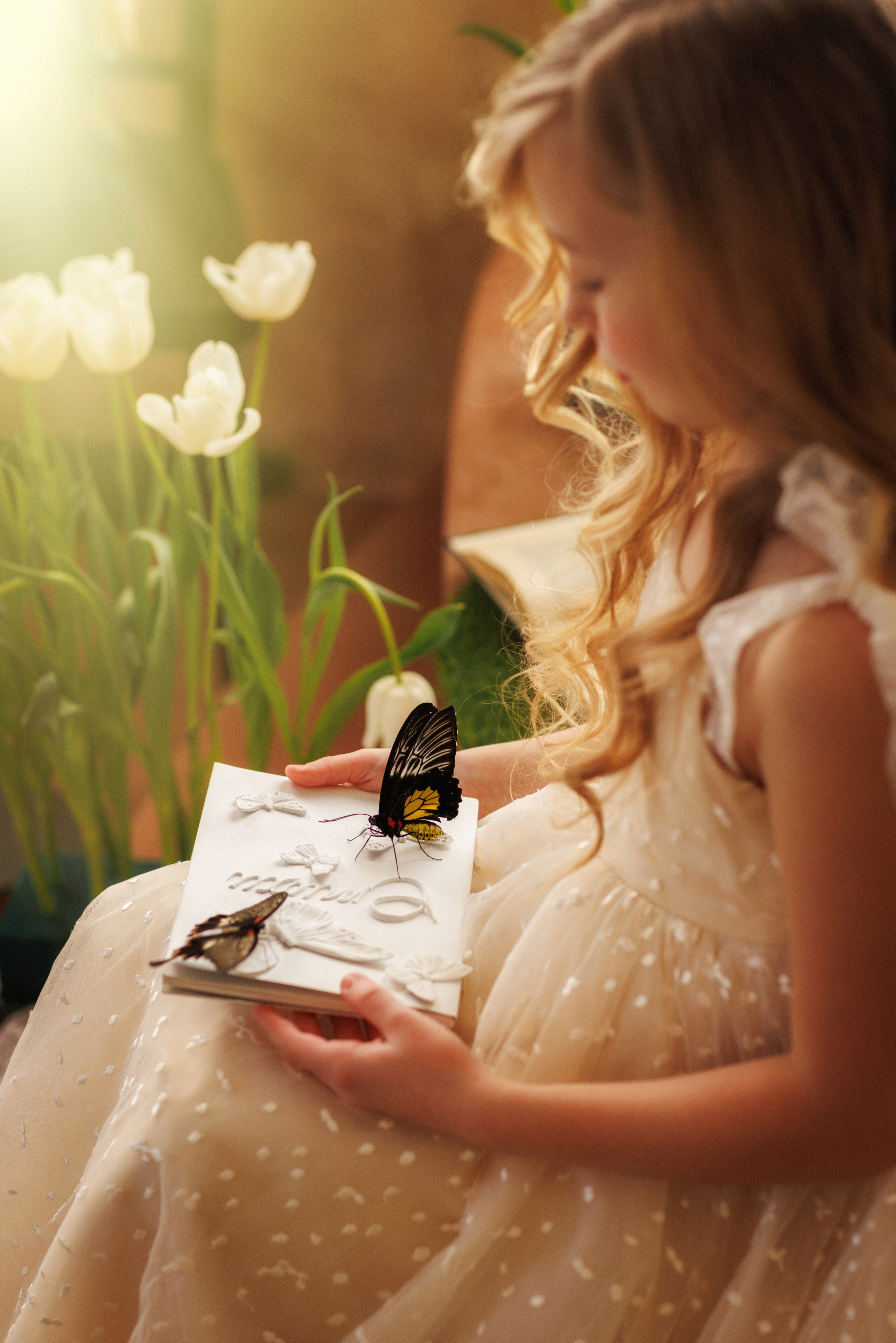 Фотосессия с живыми тропическими бабочками. Семейный и детский фотограф в Краснодаре Анна Трашкова