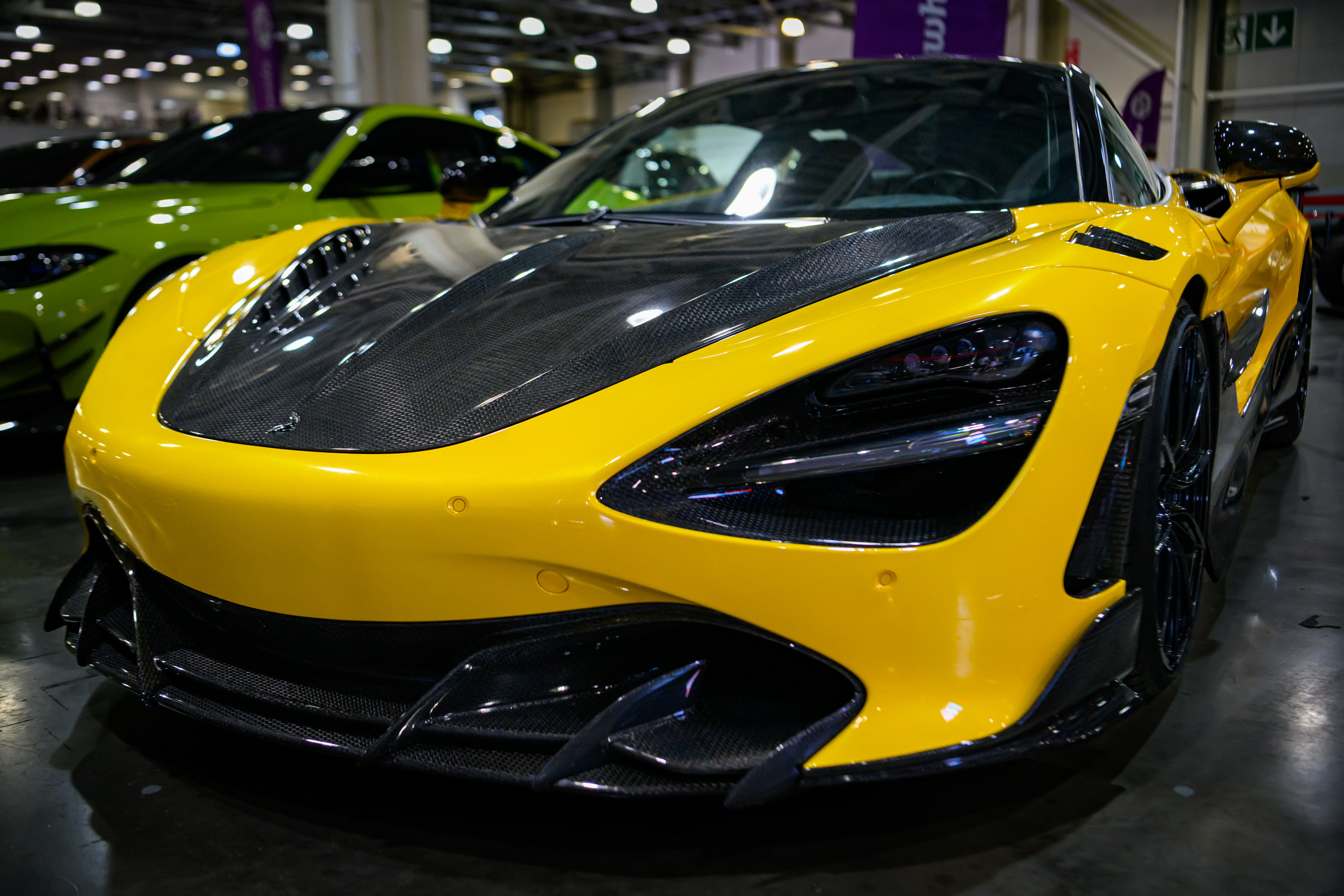 Auto Tuning Show 2022 Moscow. Wildlife photography by Sergey Puponin