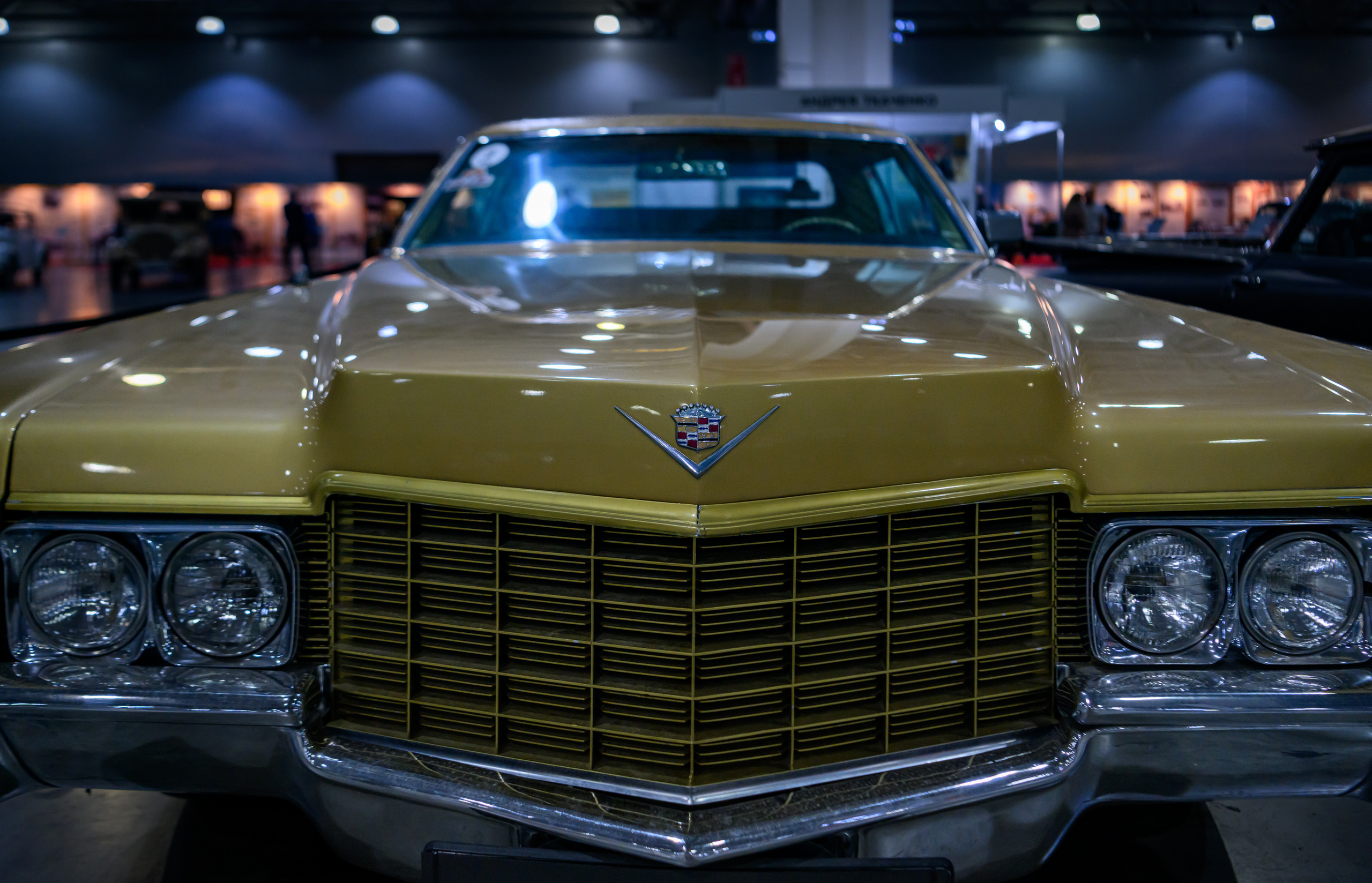 OldTimer Gallery, Moscow 2022. Wildlife photography by Sergey Puponin