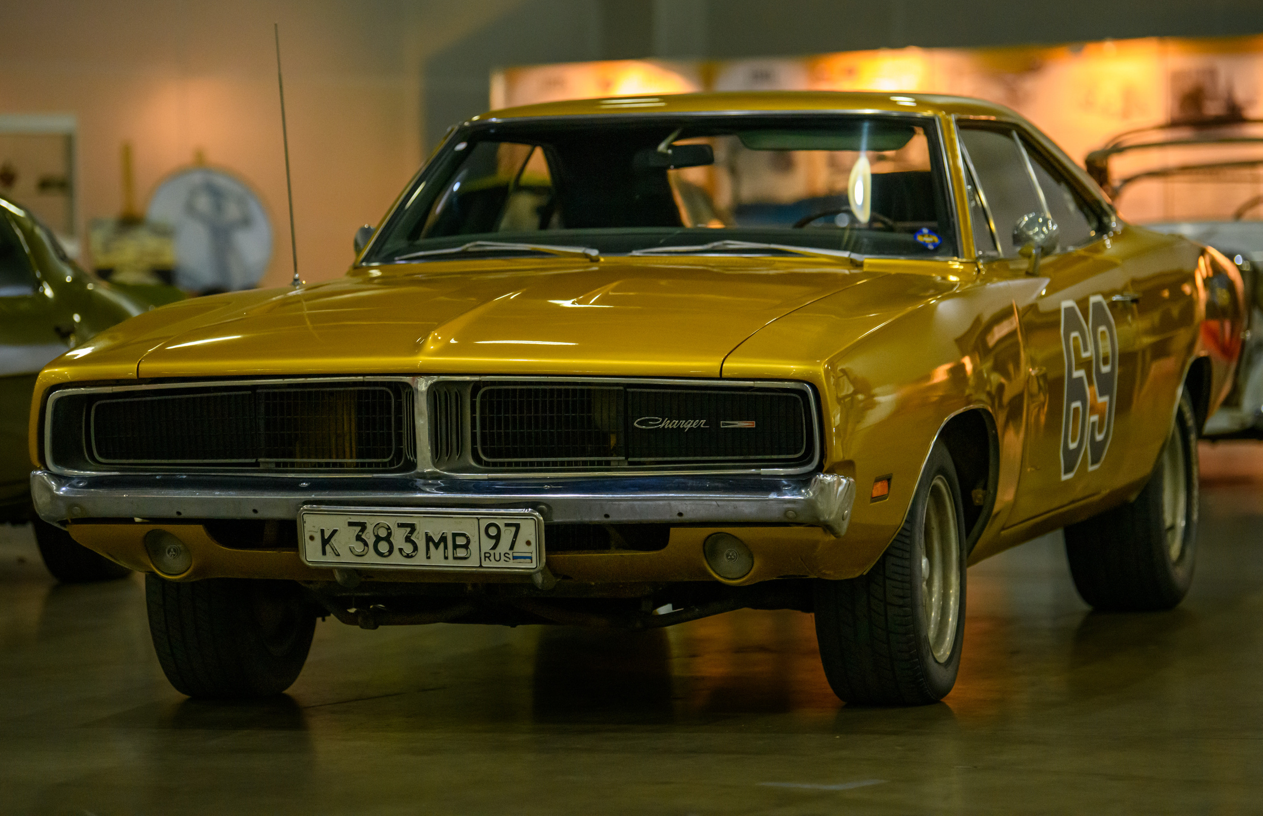 OldTimer Gallery, Moscow 2022. Wildlife photography by Sergey Puponin