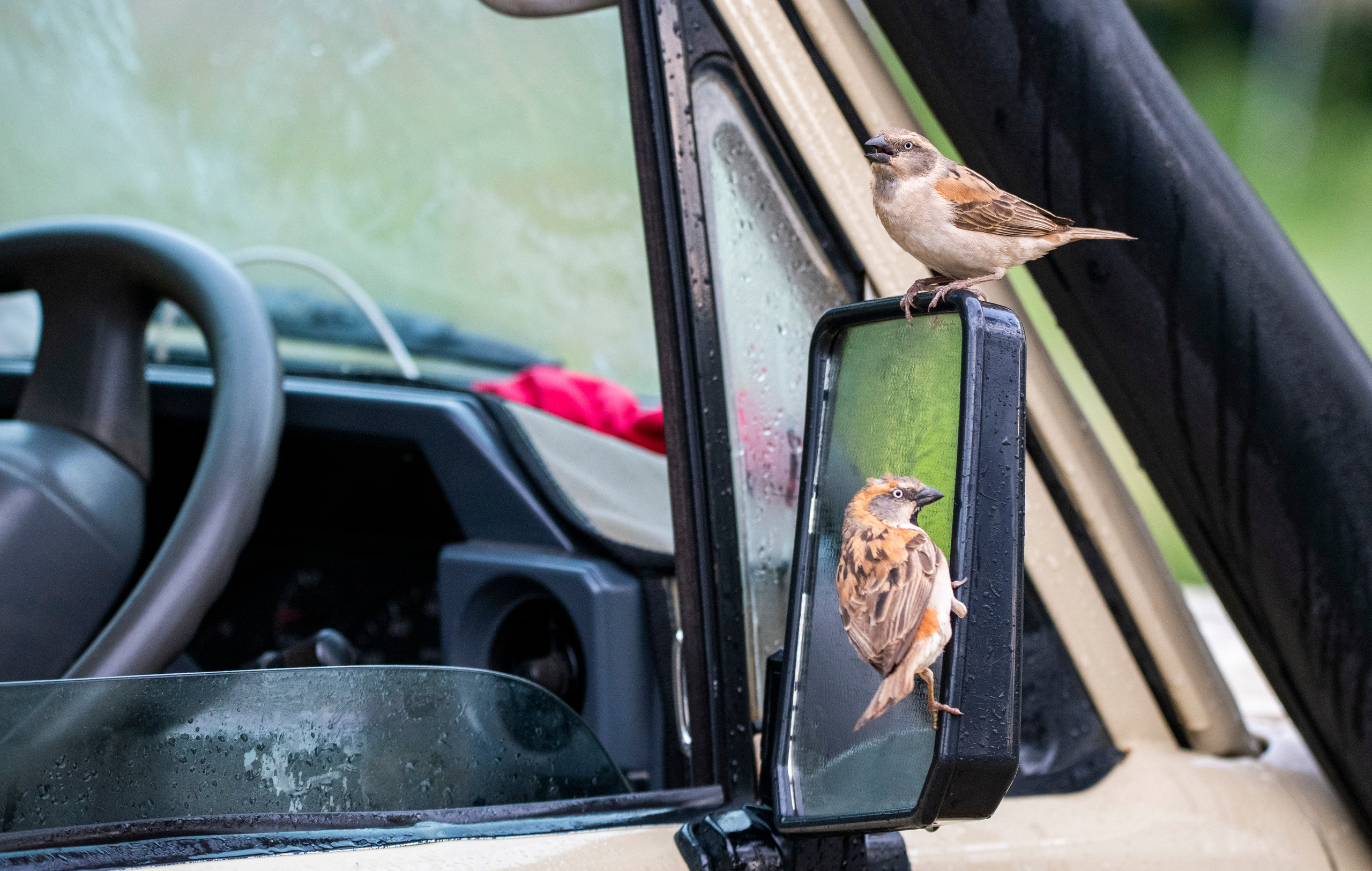 Танзания. Фотограф Сергей Пупонин