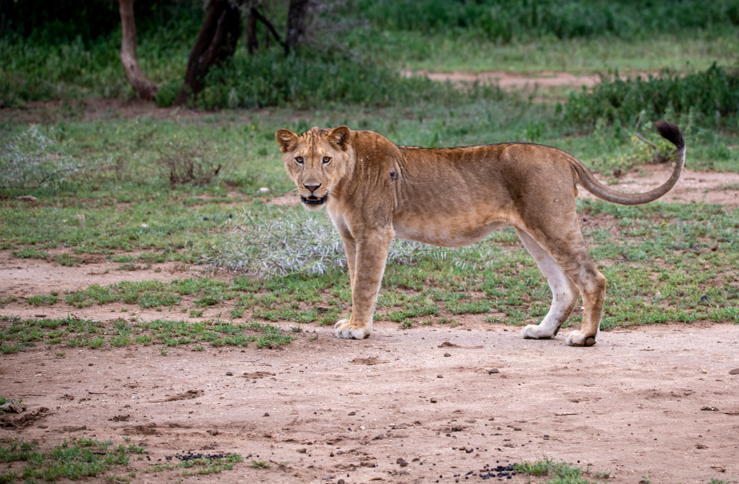 Танзания. Фотограф Сергей Пупонин
