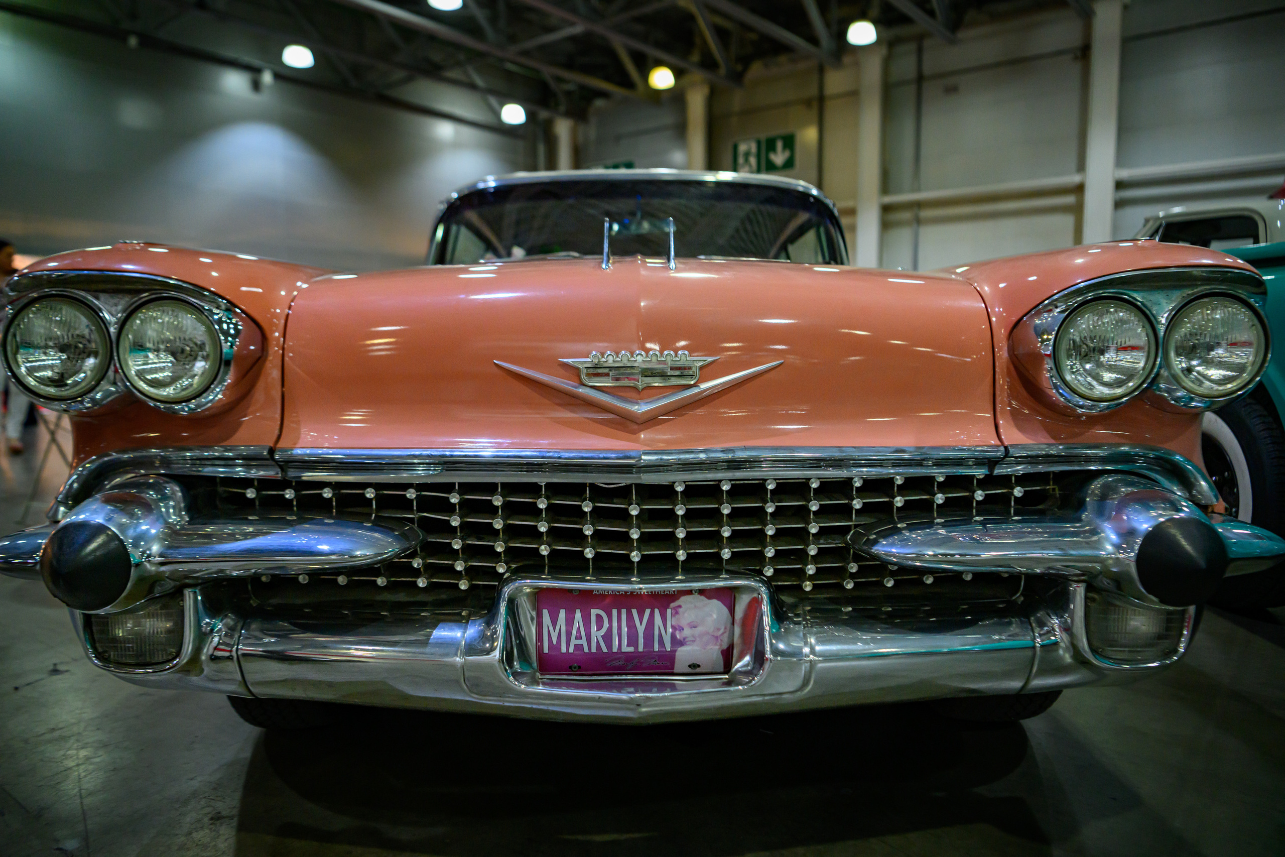 OldTimer Gallery, Moscow 2022. Wildlife photography by Sergey Puponin