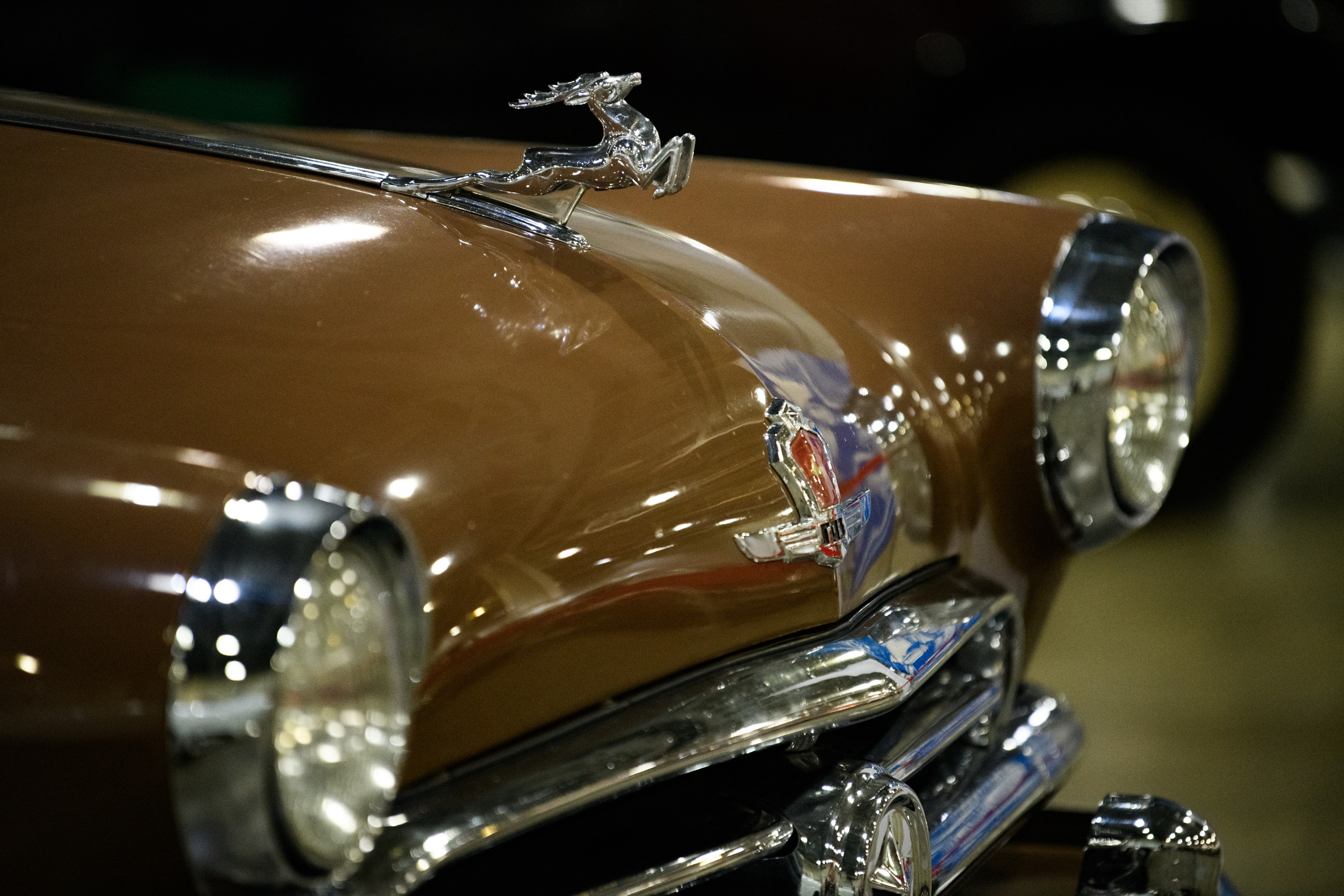 OldTimer Gallery, Moscow 2022. Wildlife photography by Sergey Puponin