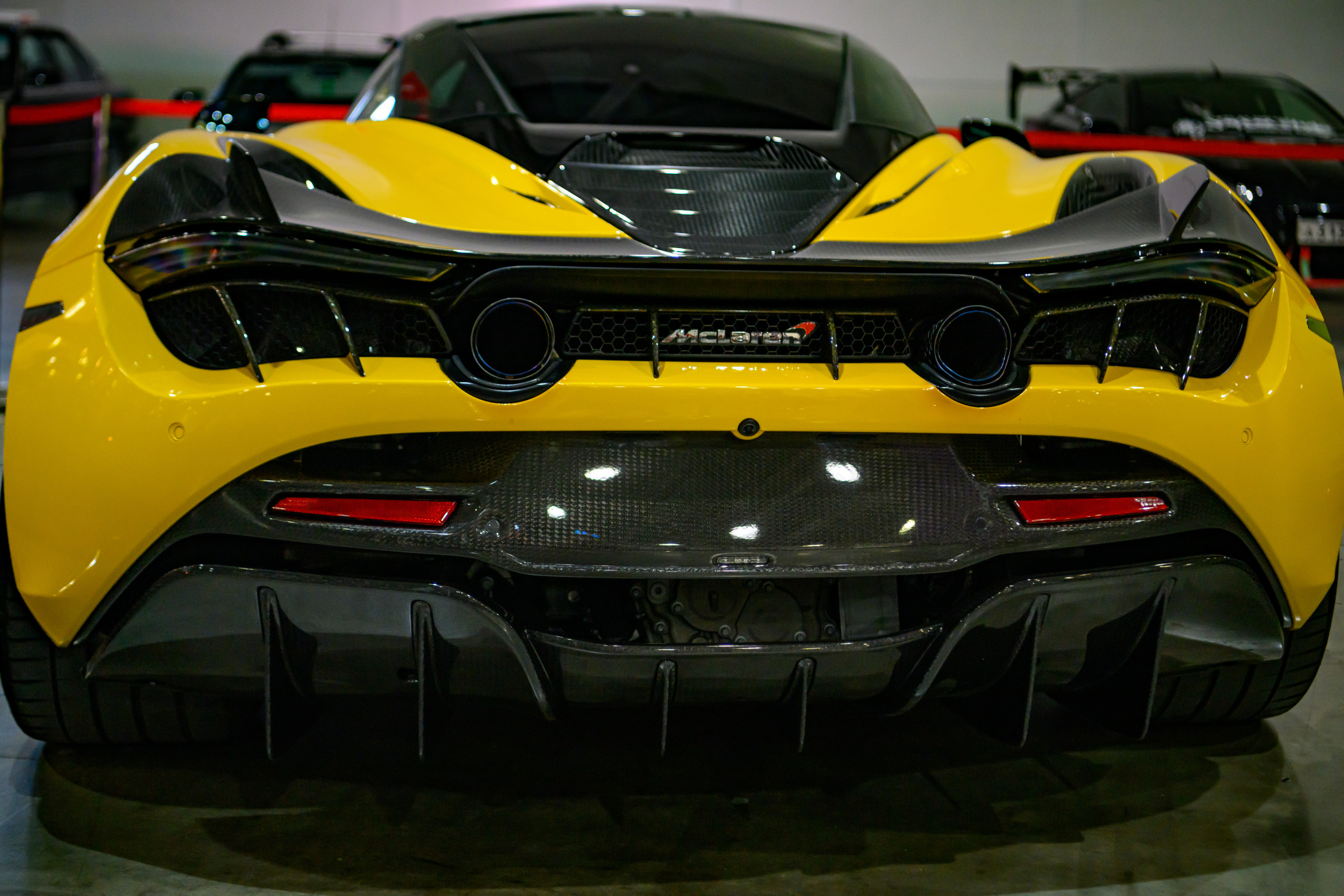 Auto Tuning Show 2022 Moscow. Wildlife photography by Sergey Puponin