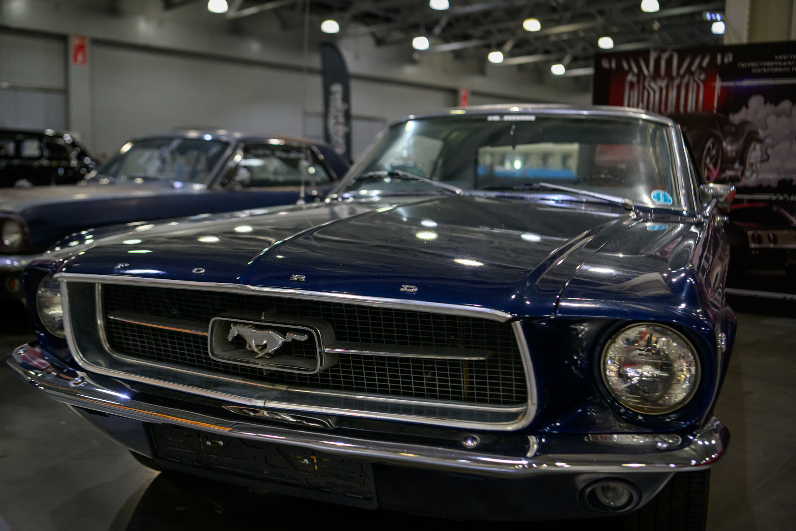 OldTimer Gallery, Moscow 2022. Wildlife photography by Sergey Puponin