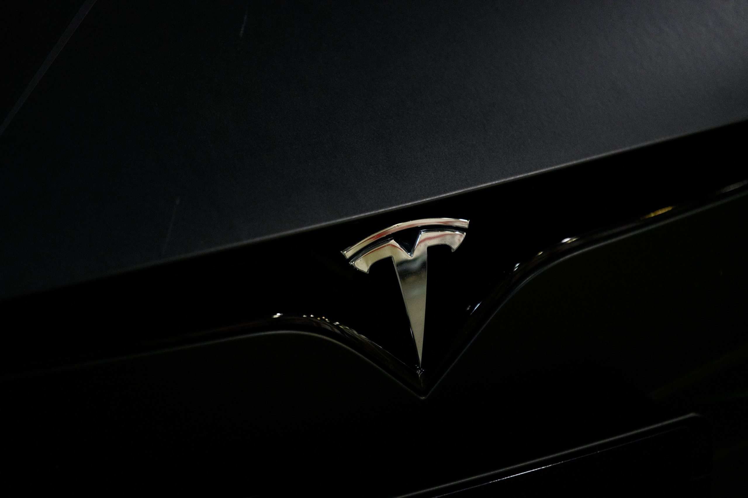 Auto Tuning Show 2022 Moscow. Wildlife photography by Sergey Puponin