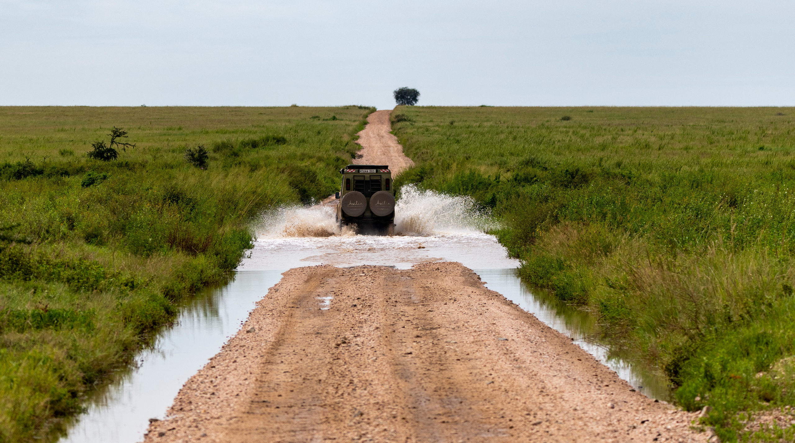 Танзания. Фотограф Сергей Пупонин