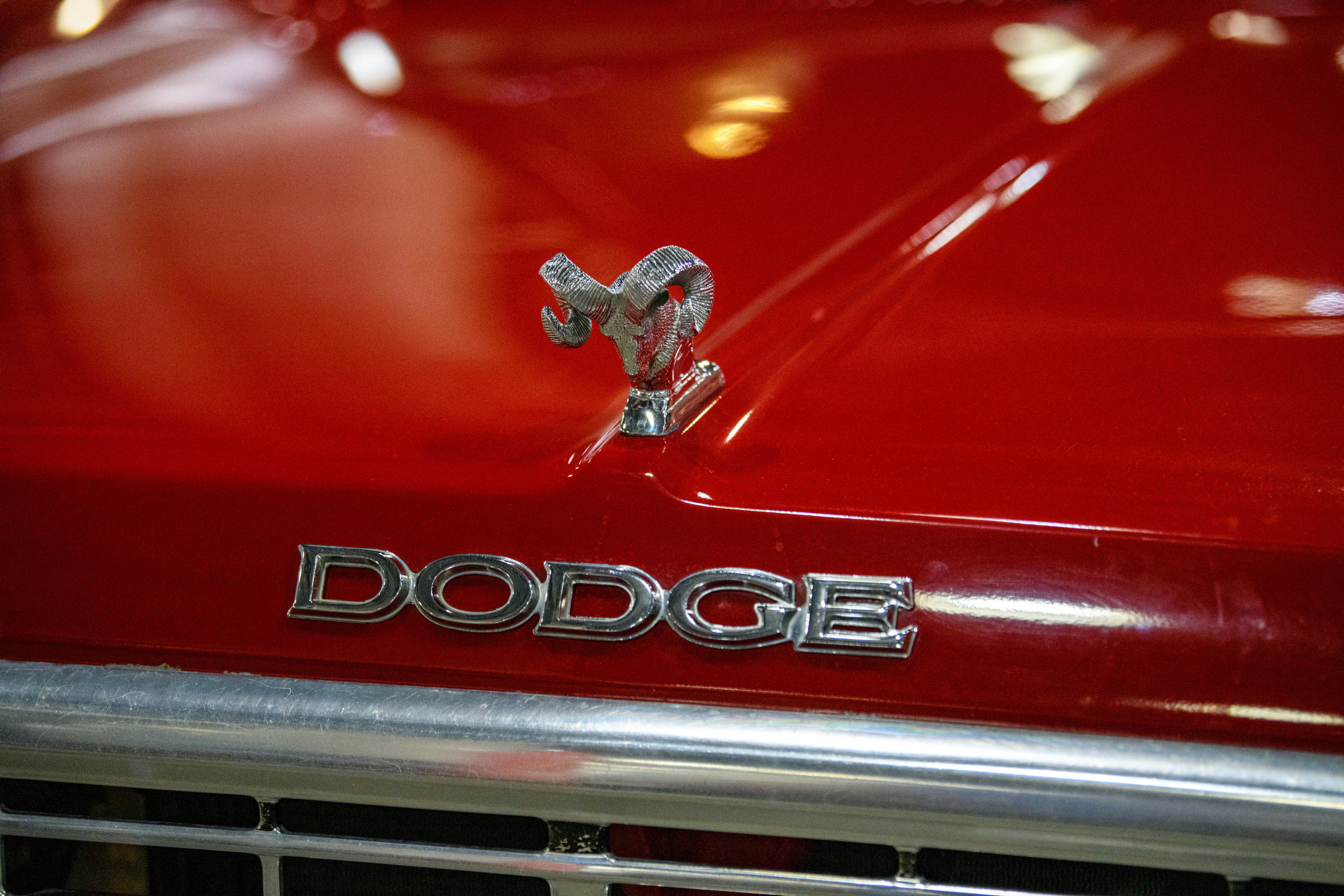 OldTimer Gallery, Moscow 2022. Wildlife photography by Sergey Puponin