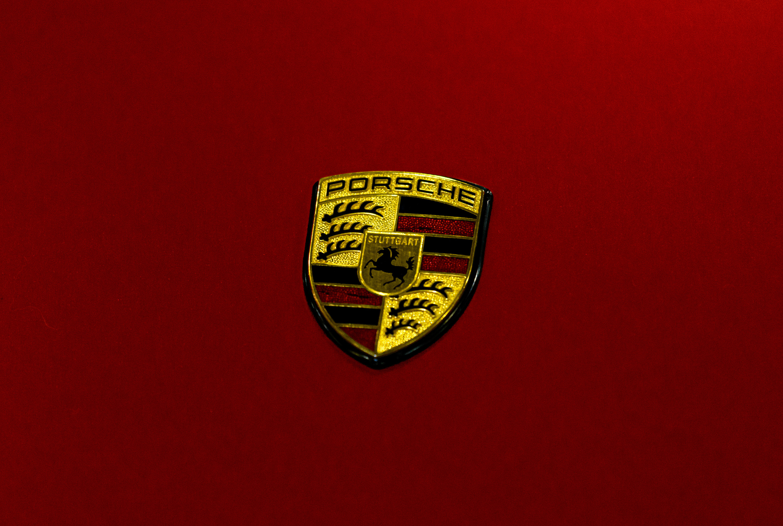 Auto Tuning Show 2022 Moscow. Wildlife photography by Sergey Puponin