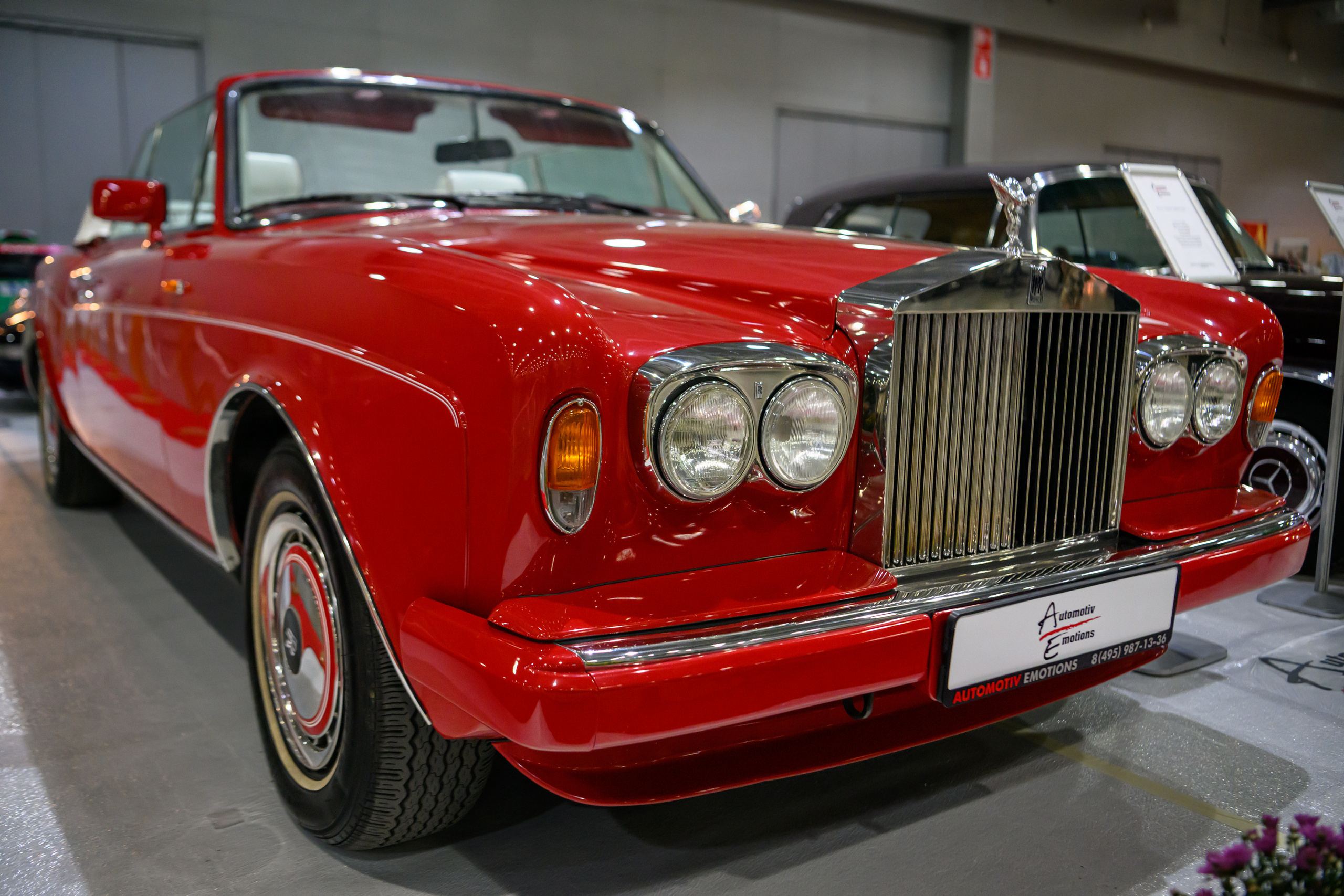 OldTimer Gallery, Moscow 2022. Wildlife photography by Sergey Puponin