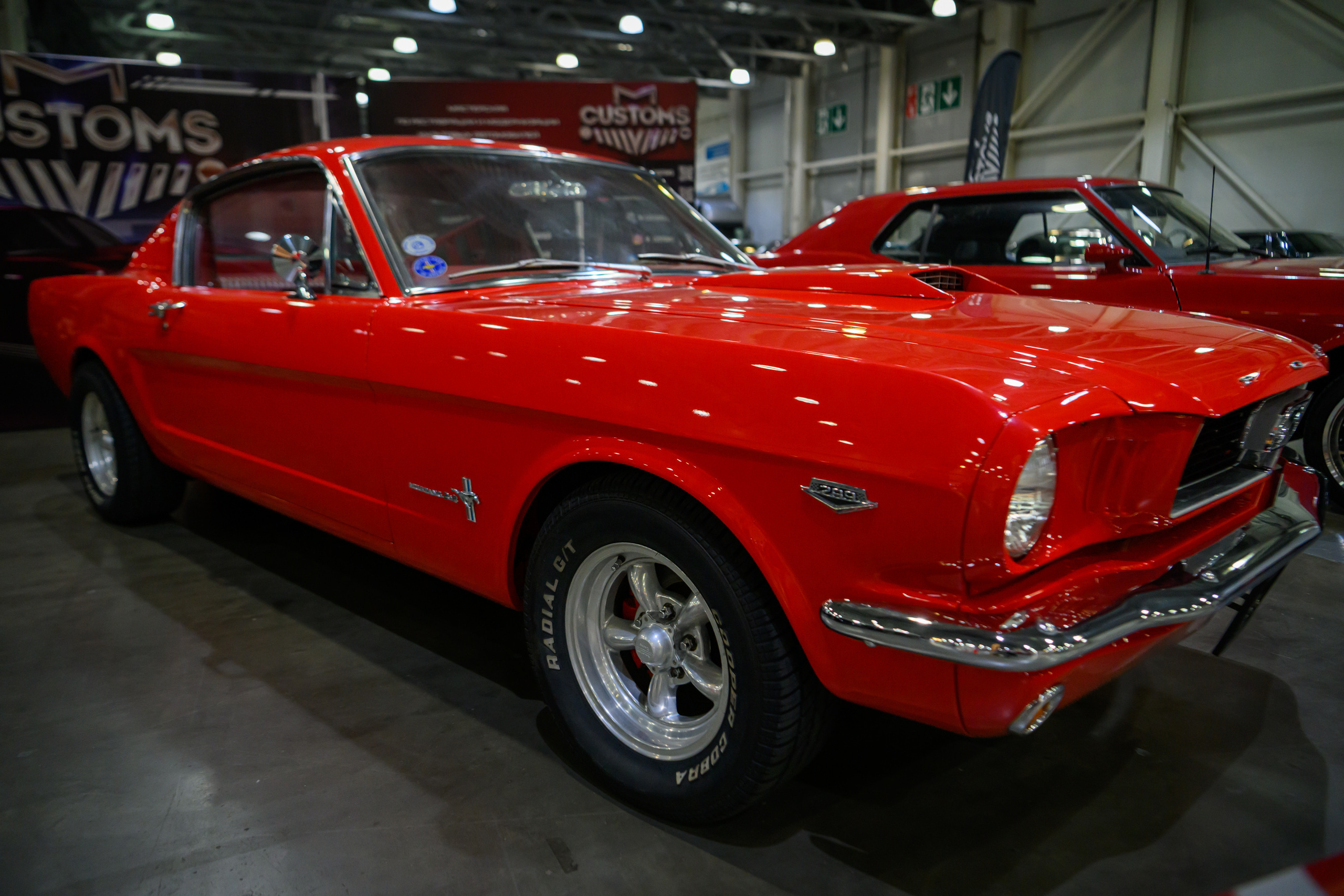 OldTimer Gallery, Moscow 2022. Wildlife photography by Sergey Puponin