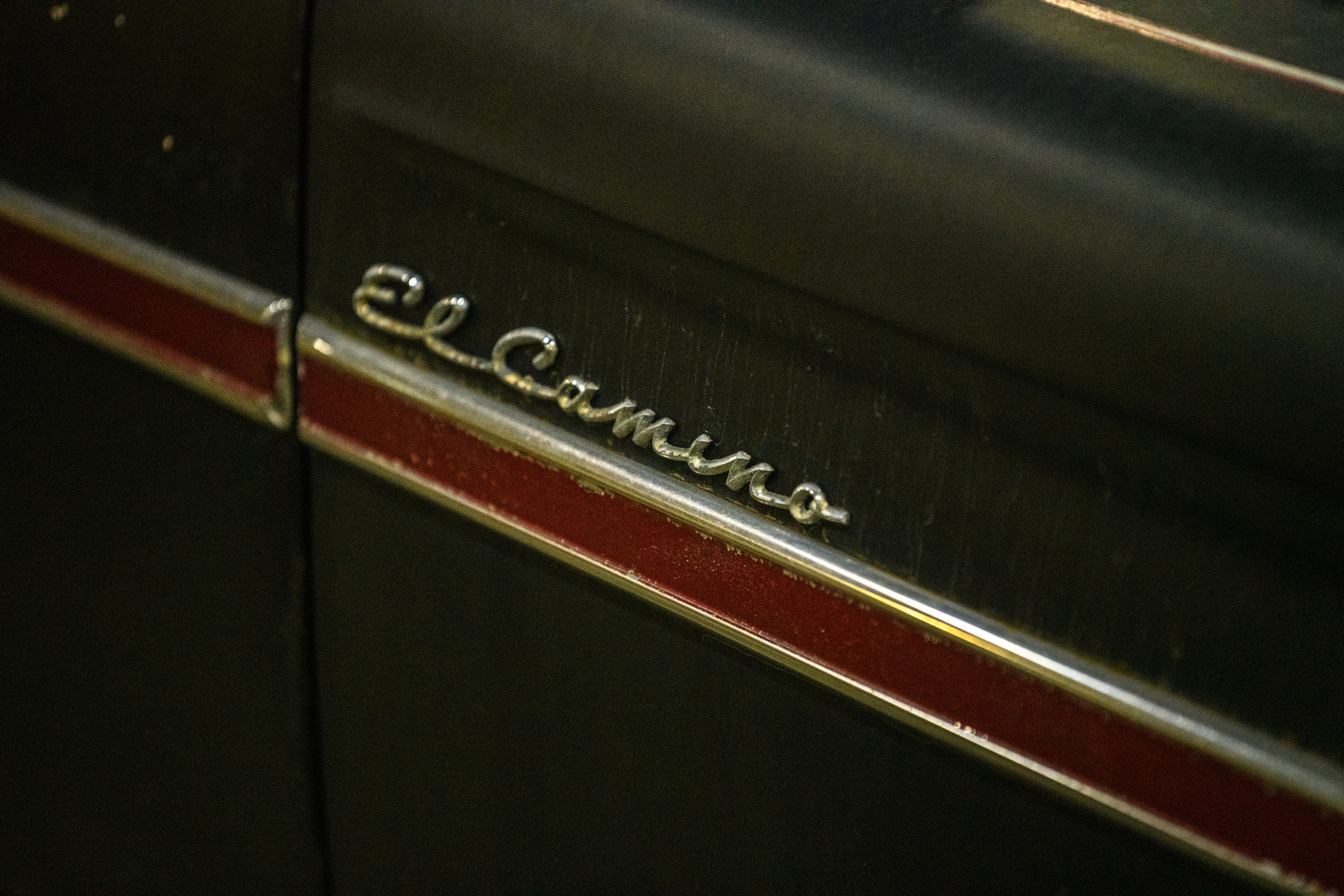 OldTimer Gallery, Moscow 2022. Wildlife photography by Sergey Puponin