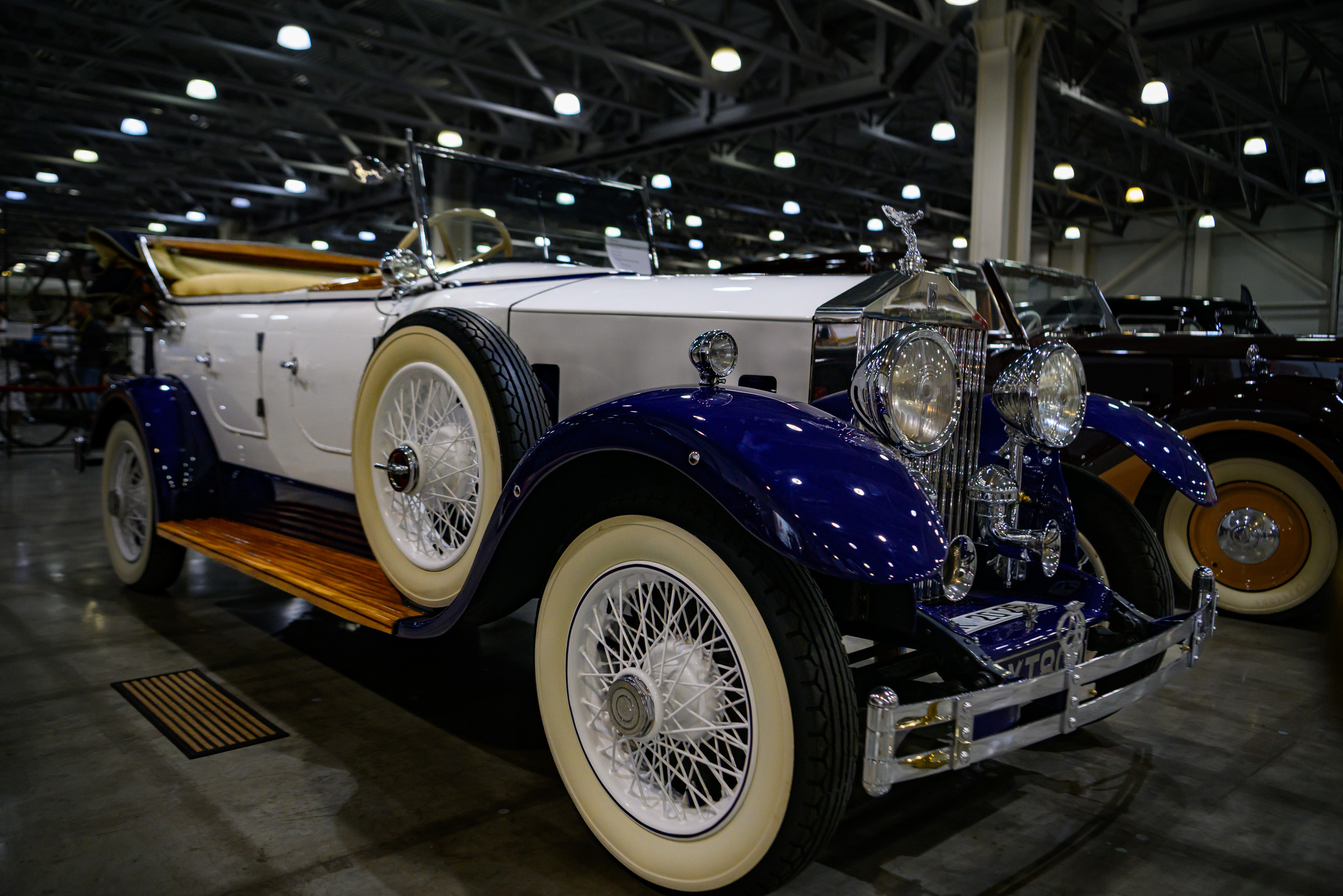 OldTimer Gallery, Moscow 2022. Wildlife photography by Sergey Puponin