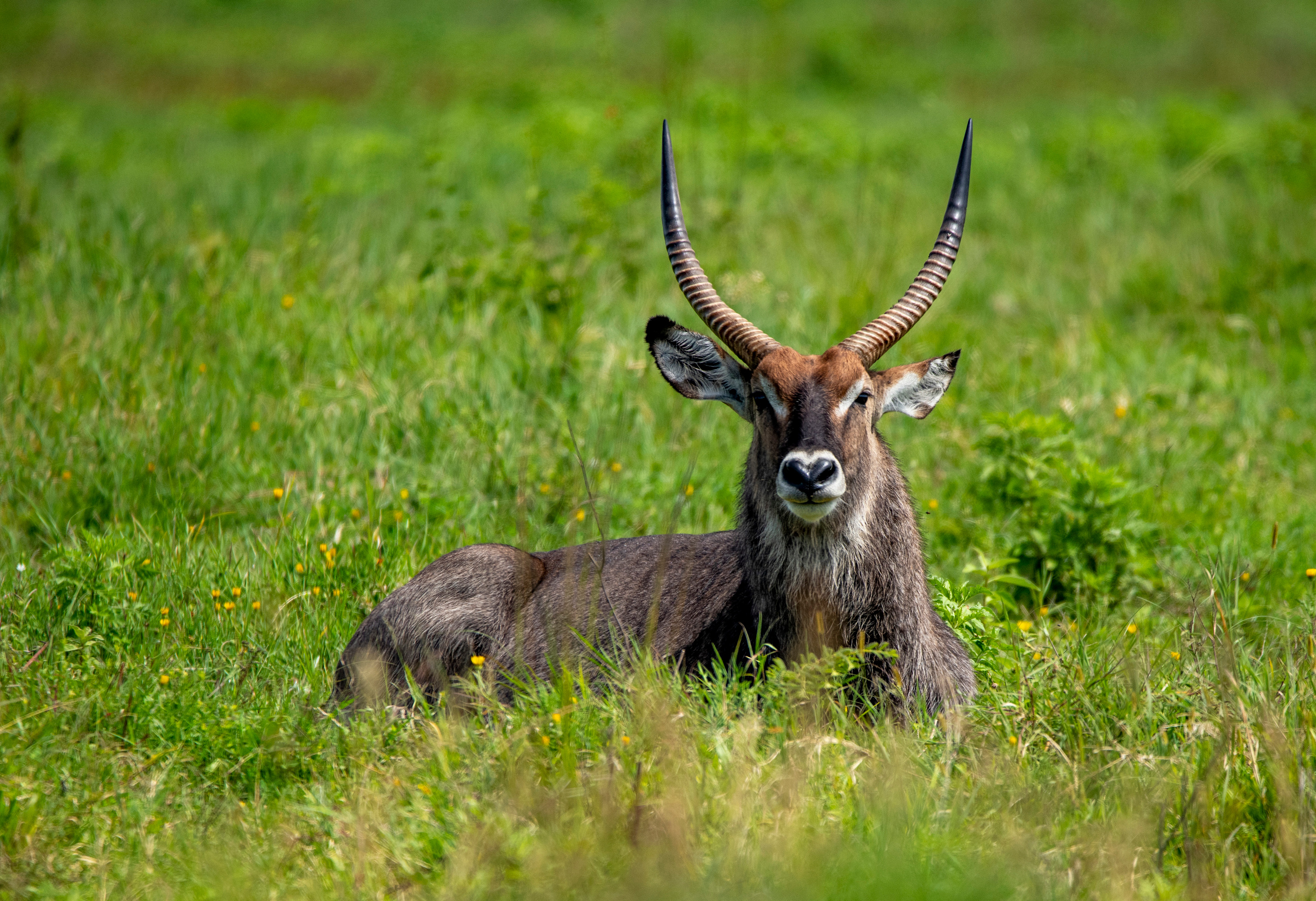 Танзания. Фотограф Сергей Пупонин
