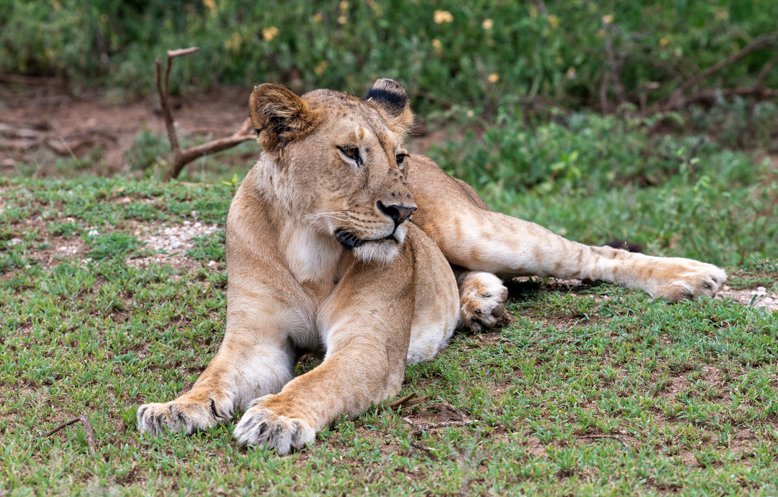 Танзания. Фотограф Сергей Пупонин