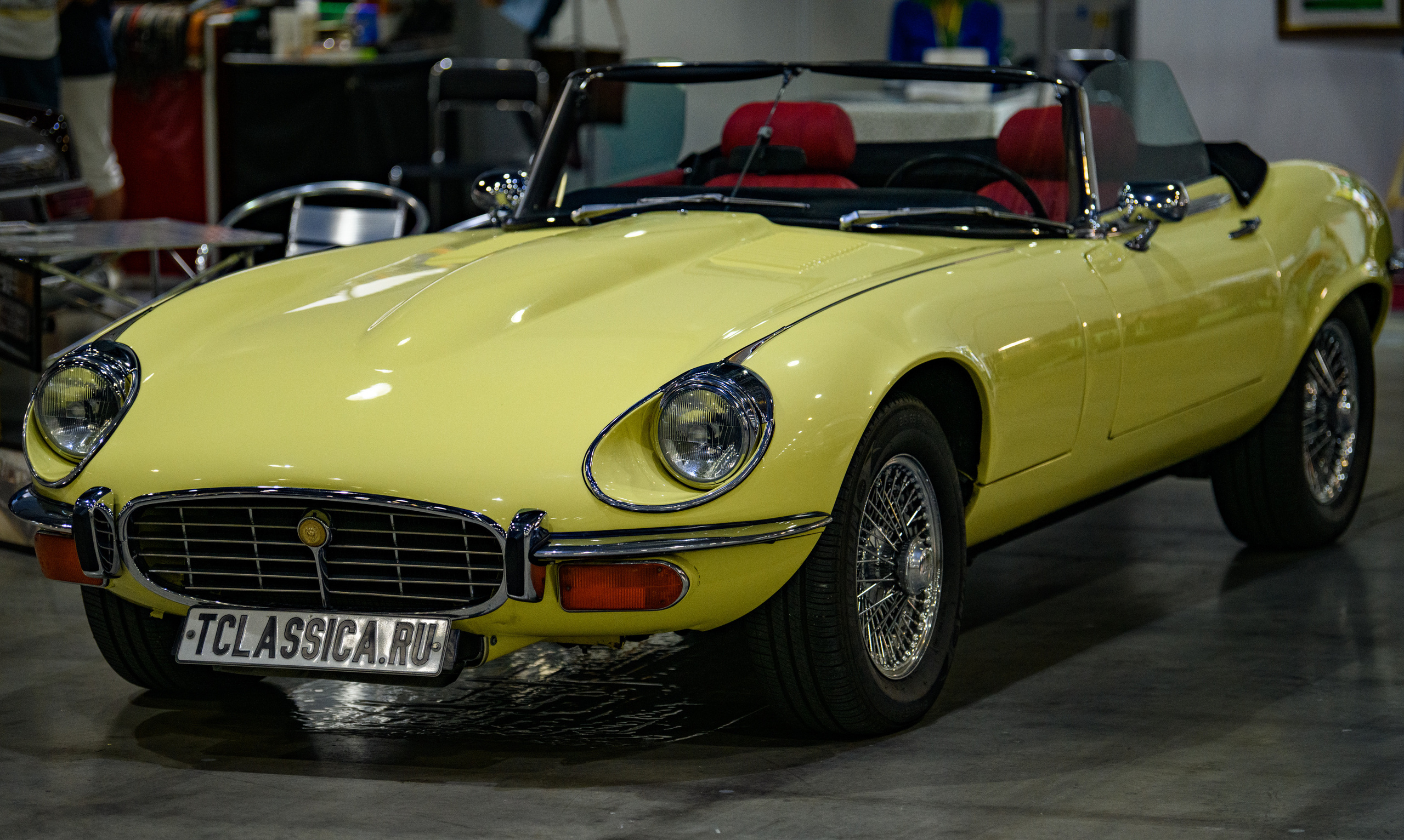 OldTimer Gallery, Moscow 2022. Wildlife photography by Sergey Puponin