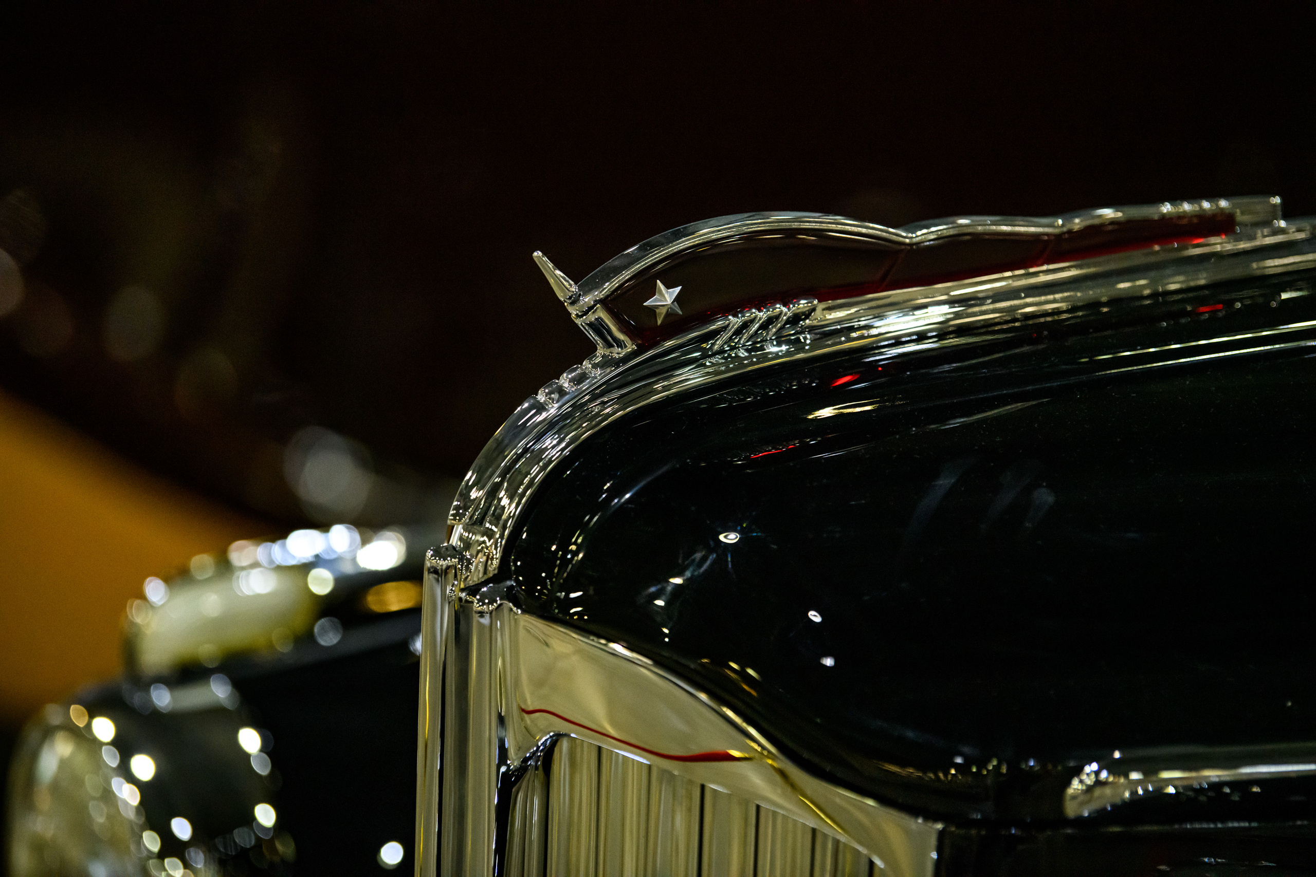 OldTimer Gallery, Moscow 2022. Wildlife photography by Sergey Puponin