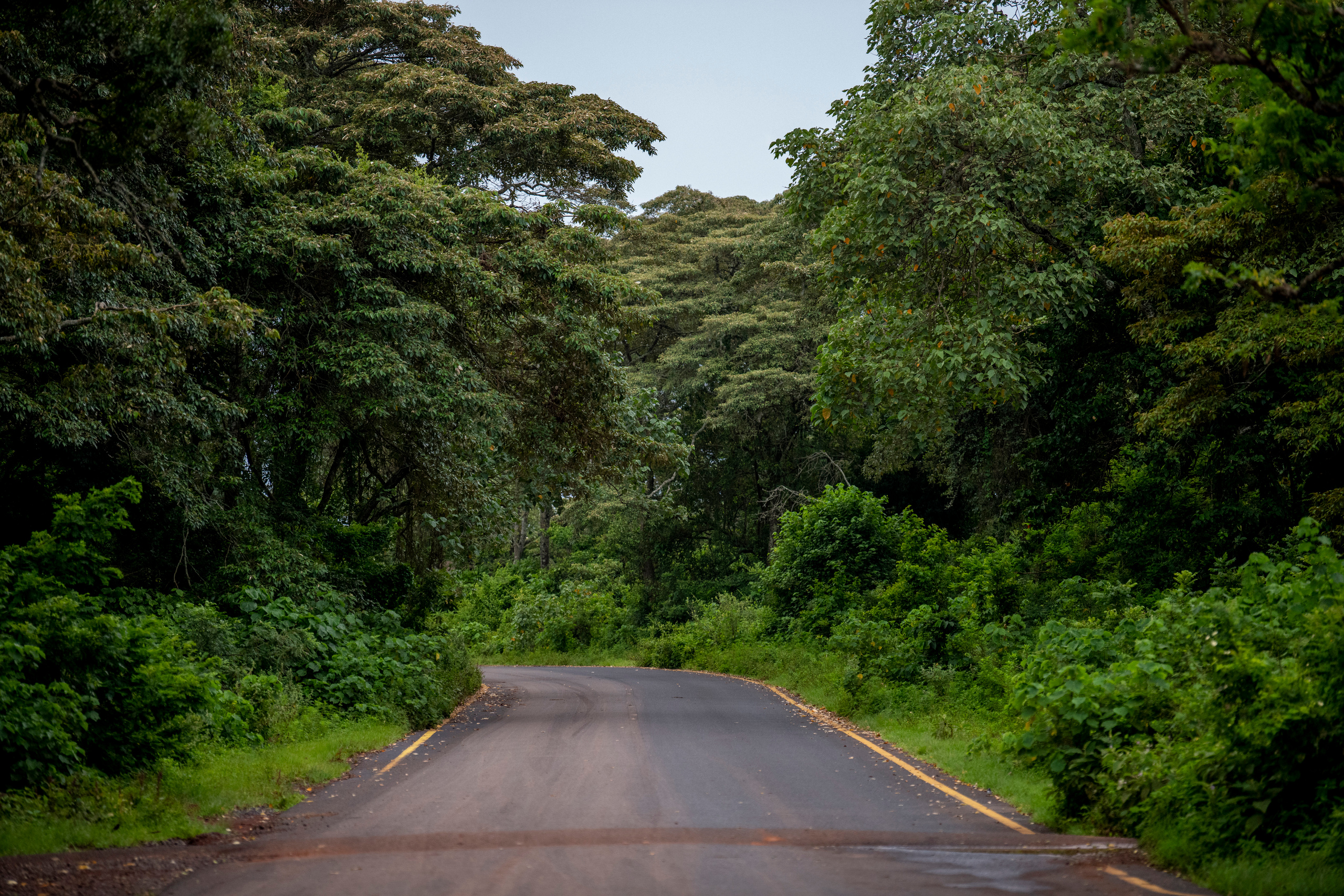Танзания. Фотограф Сергей Пупонин