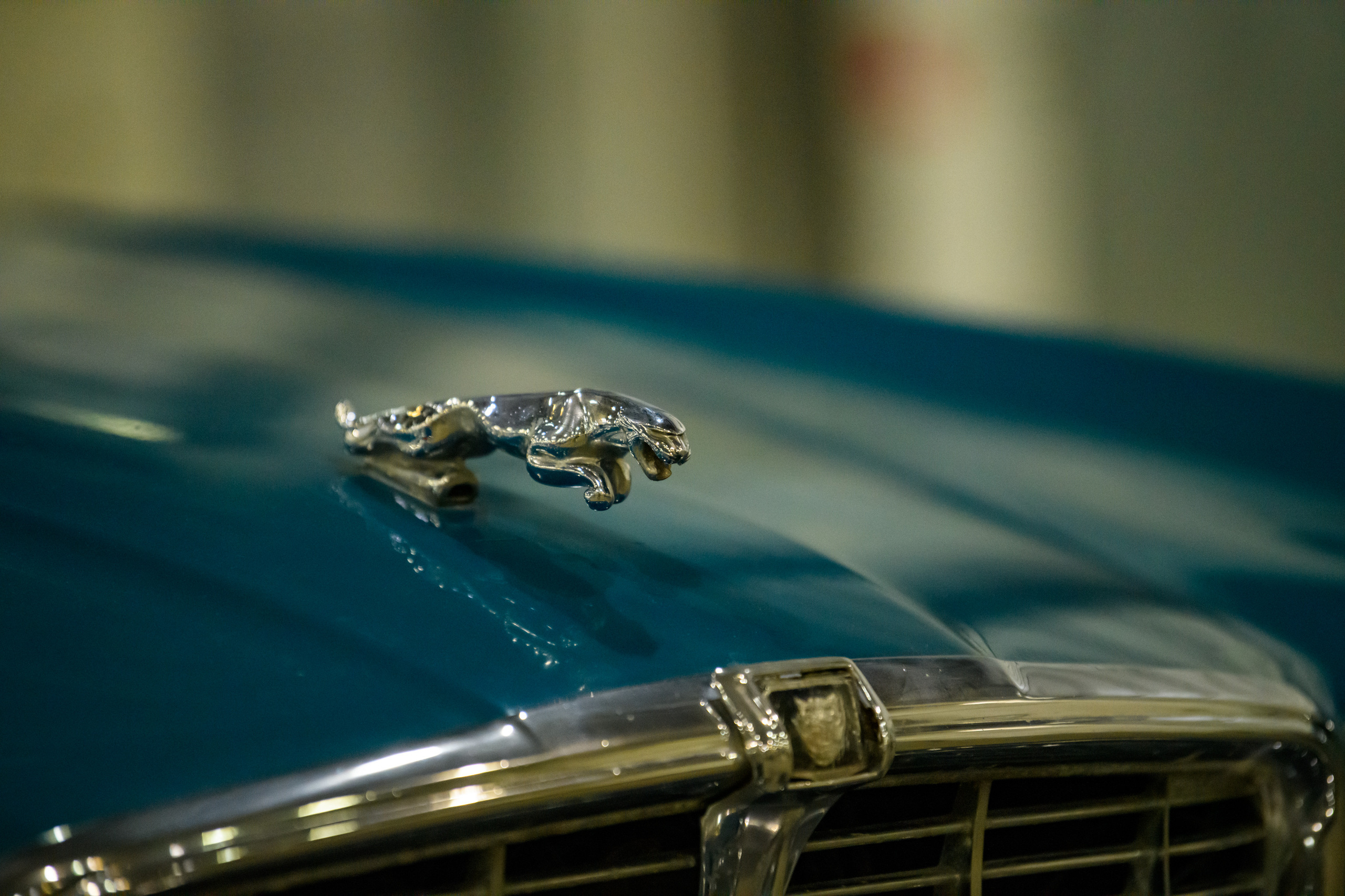 OldTimer Gallery, Moscow 2022. Wildlife photography by Sergey Puponin