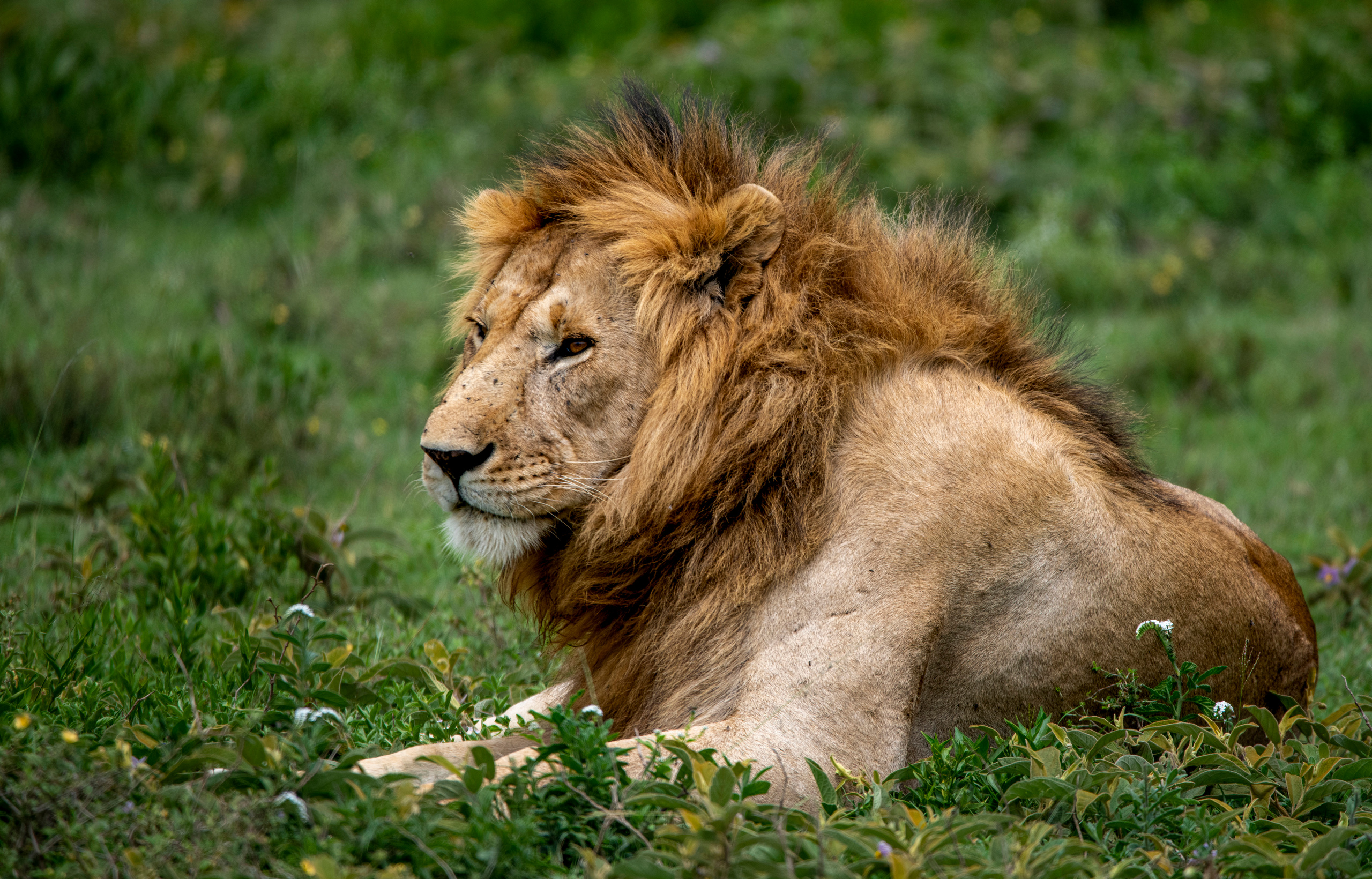 Танзания. Фотограф Сергей Пупонин