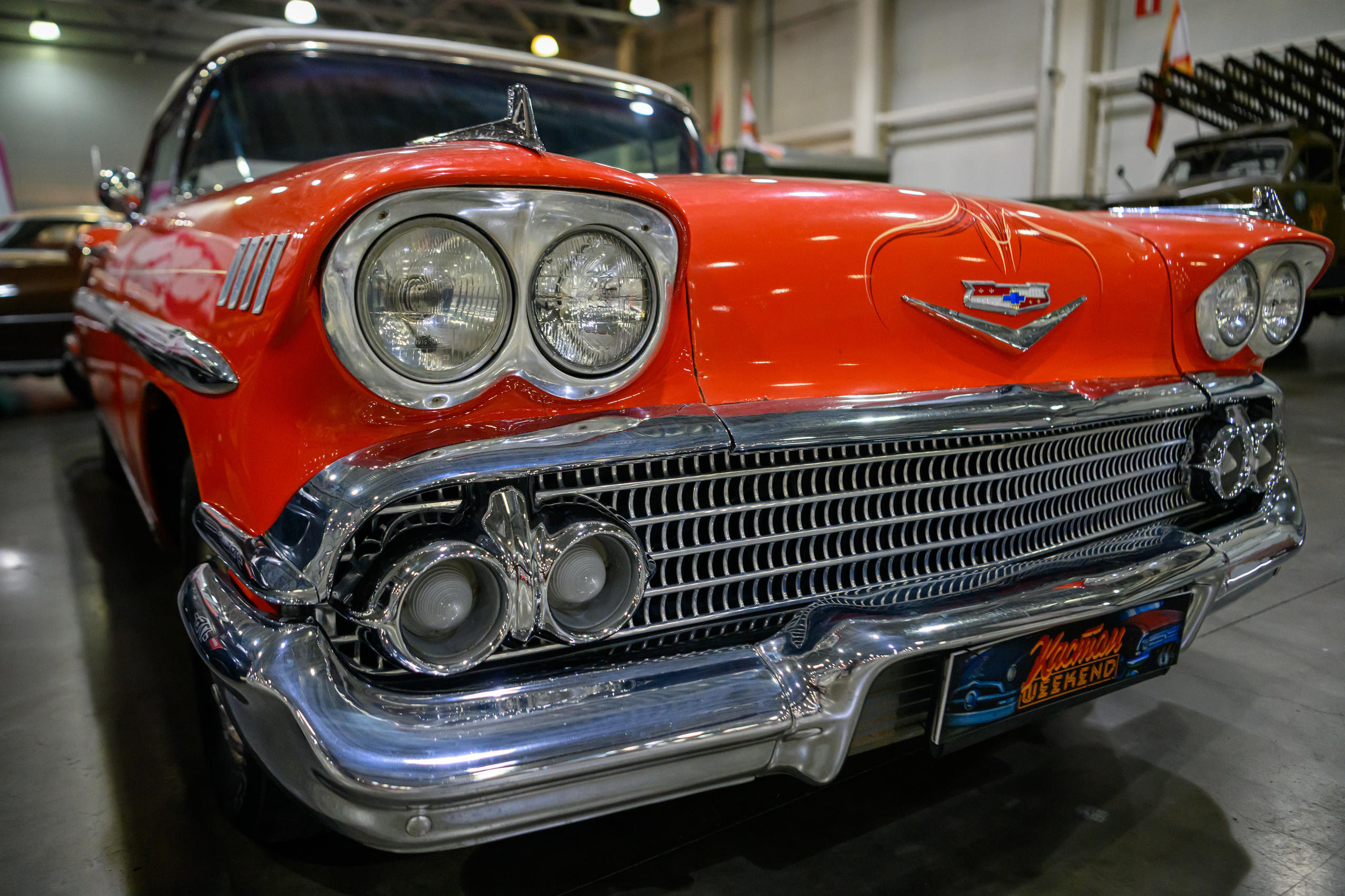 OldTimer Gallery, Moscow 2022. Wildlife photography by Sergey Puponin