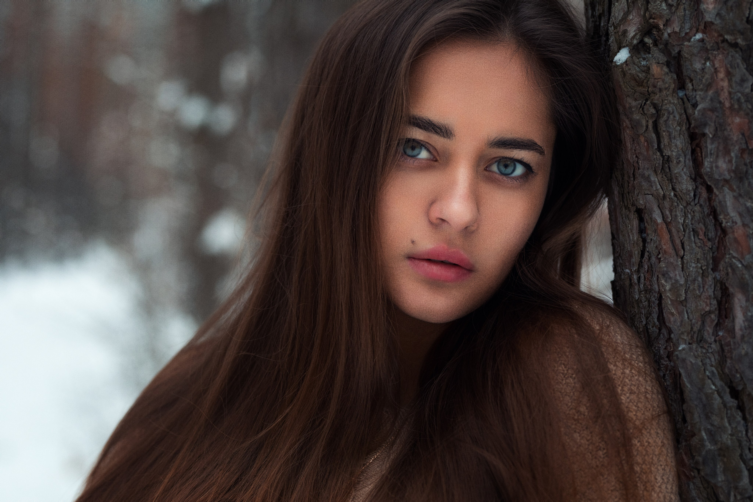 Зимняя съемка в лесу с доберманом с Ольгой в формате для «себя»