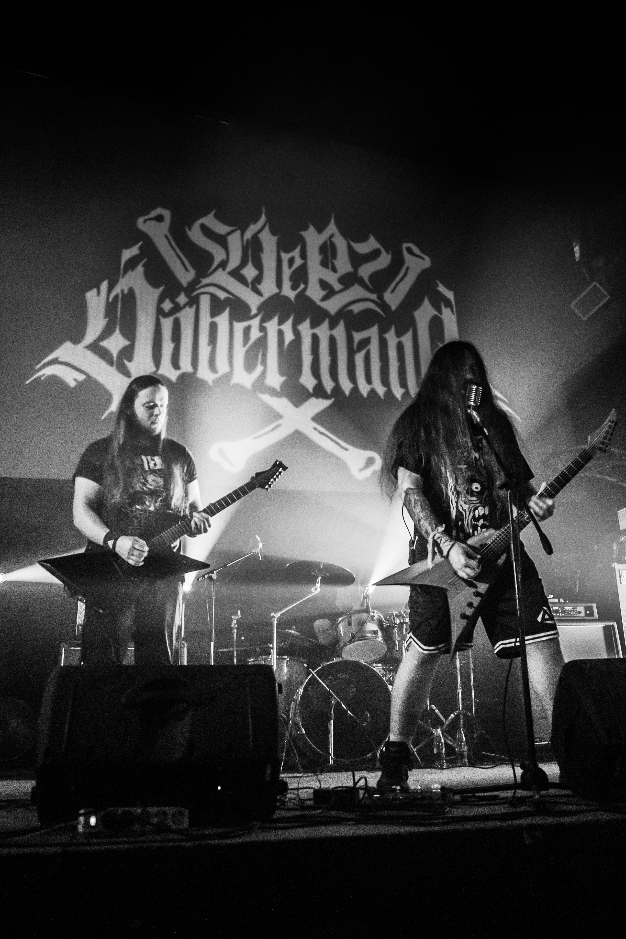 Der Döberman. Фотограф в Санкт-Петербурге Чумаков Семен