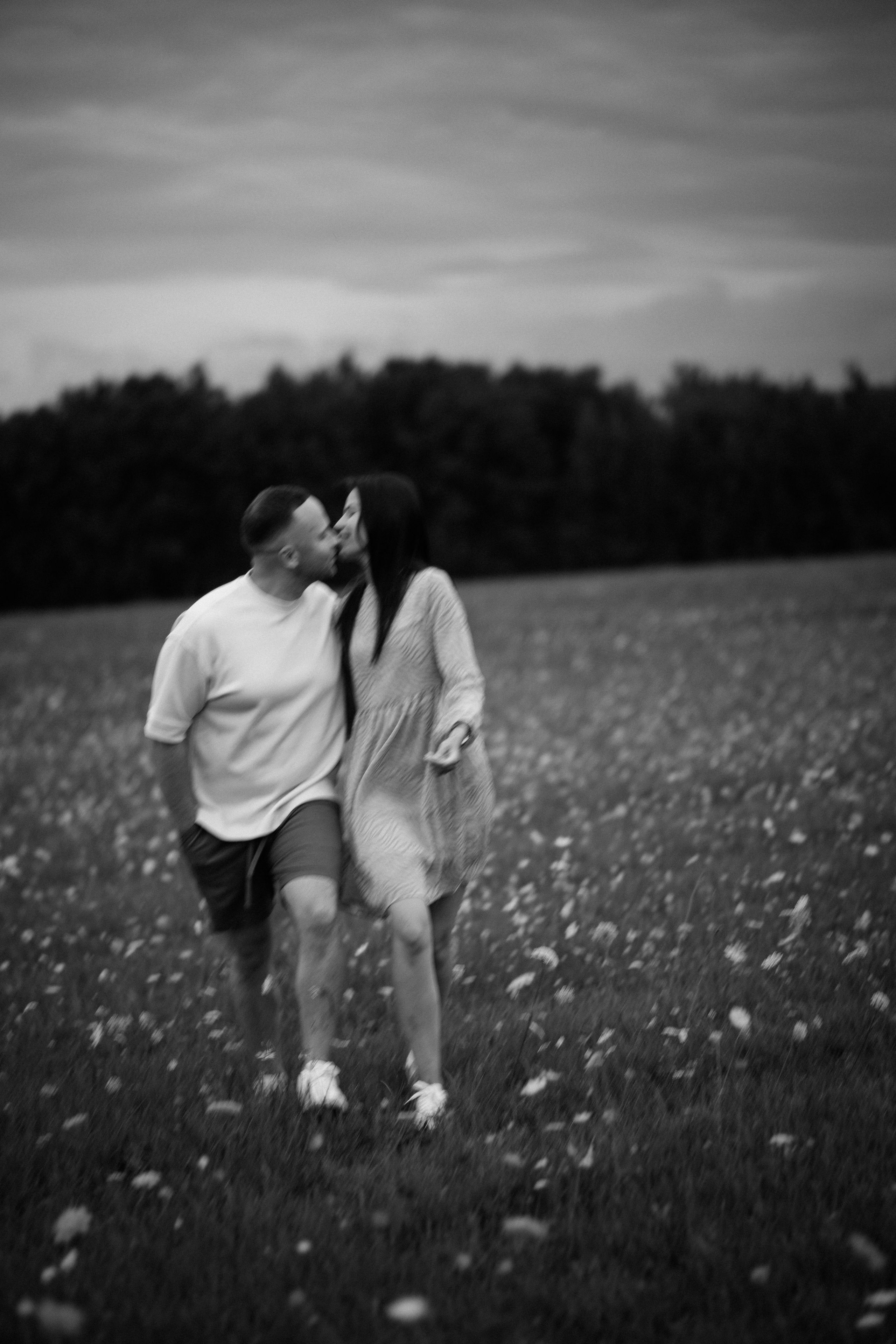 Подсолнухи. Dima Lemeshevsky