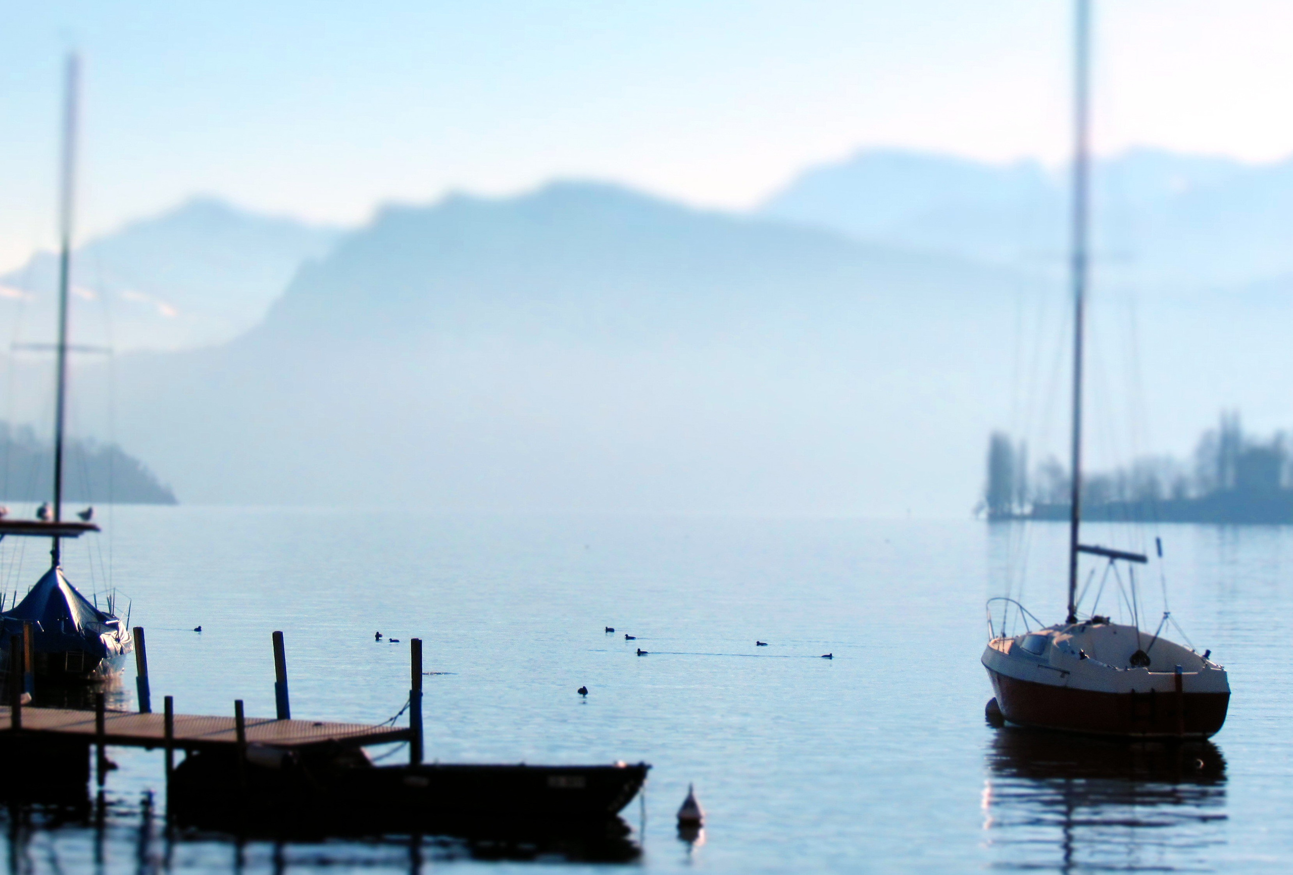 Объятия покоя, Пейзаж, Людмила Шаройко, Москва