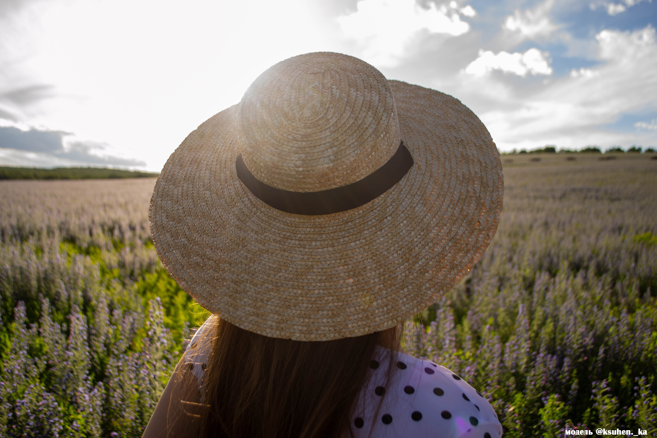 Street. Team of creative photographers. Family, wedding photos